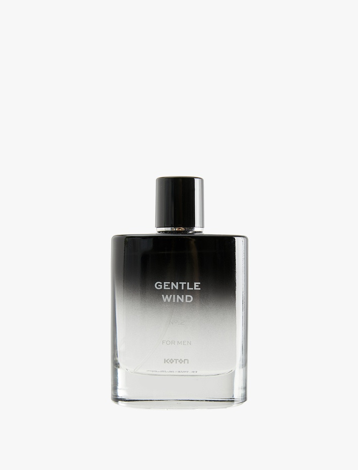 Erkek Parfüm Gentle Wind 100 ML