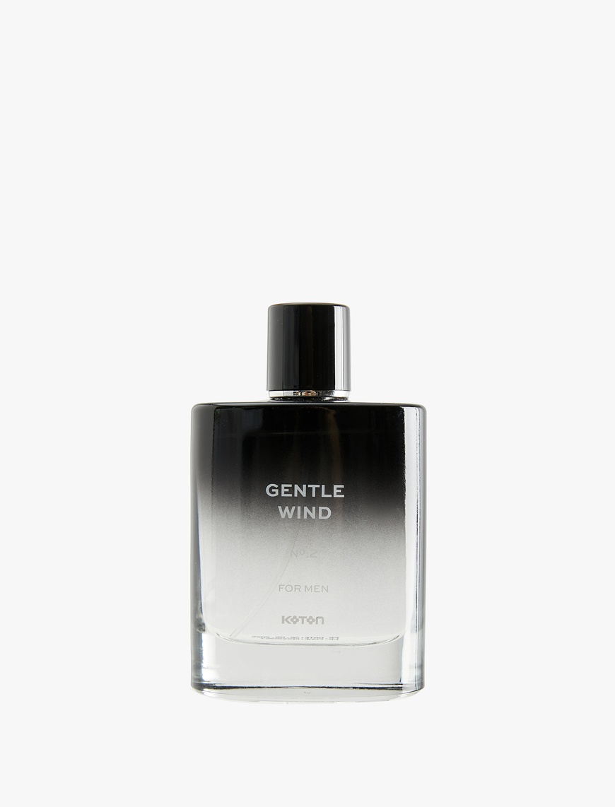  Erkek Parfüm Gentle Wind 100 ML