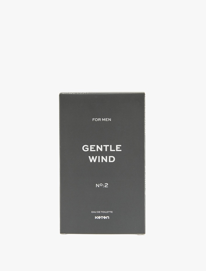 Erkek Parfüm Gentle Wind 100 ML