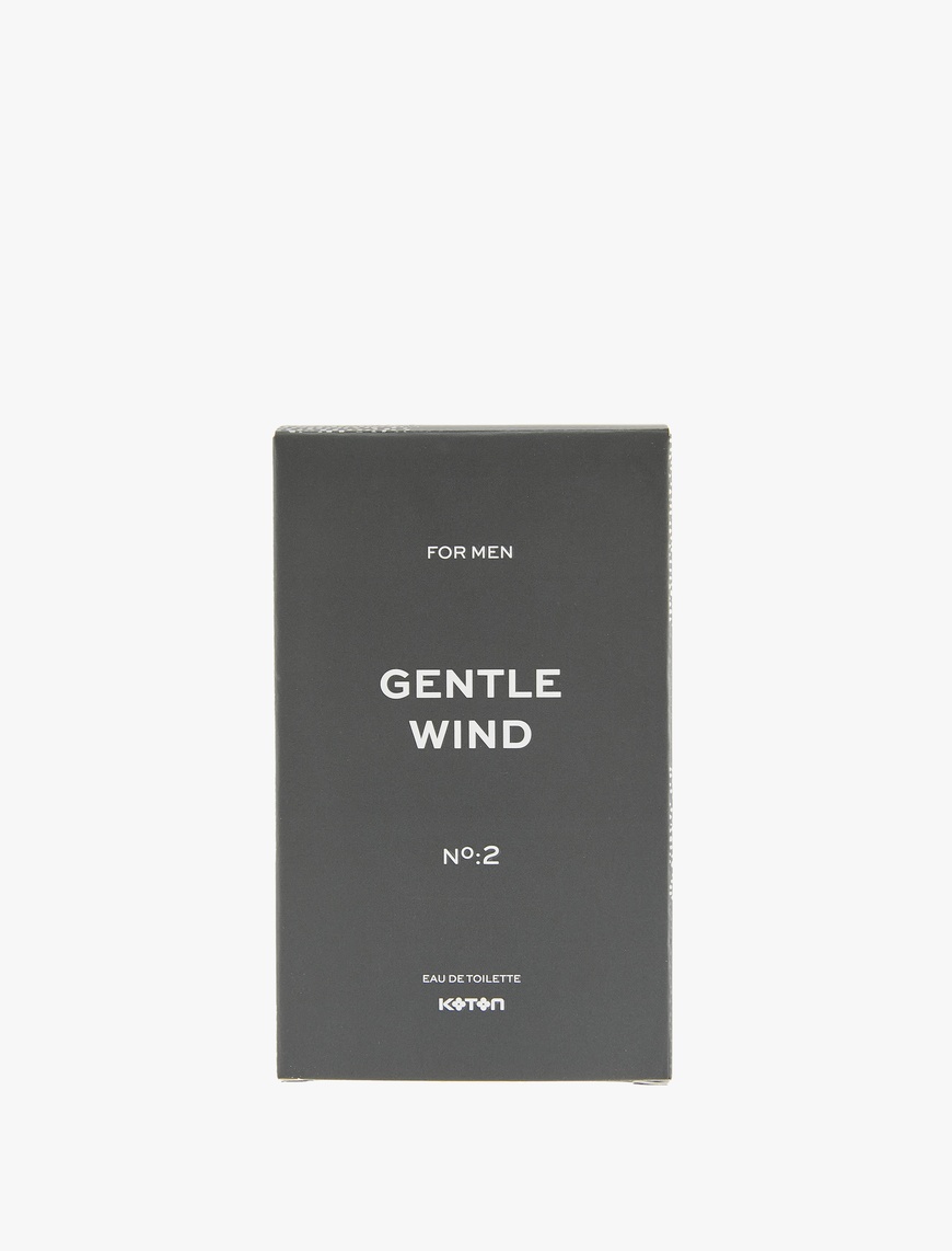  Erkek Parfüm Gentle Wind 100 ML