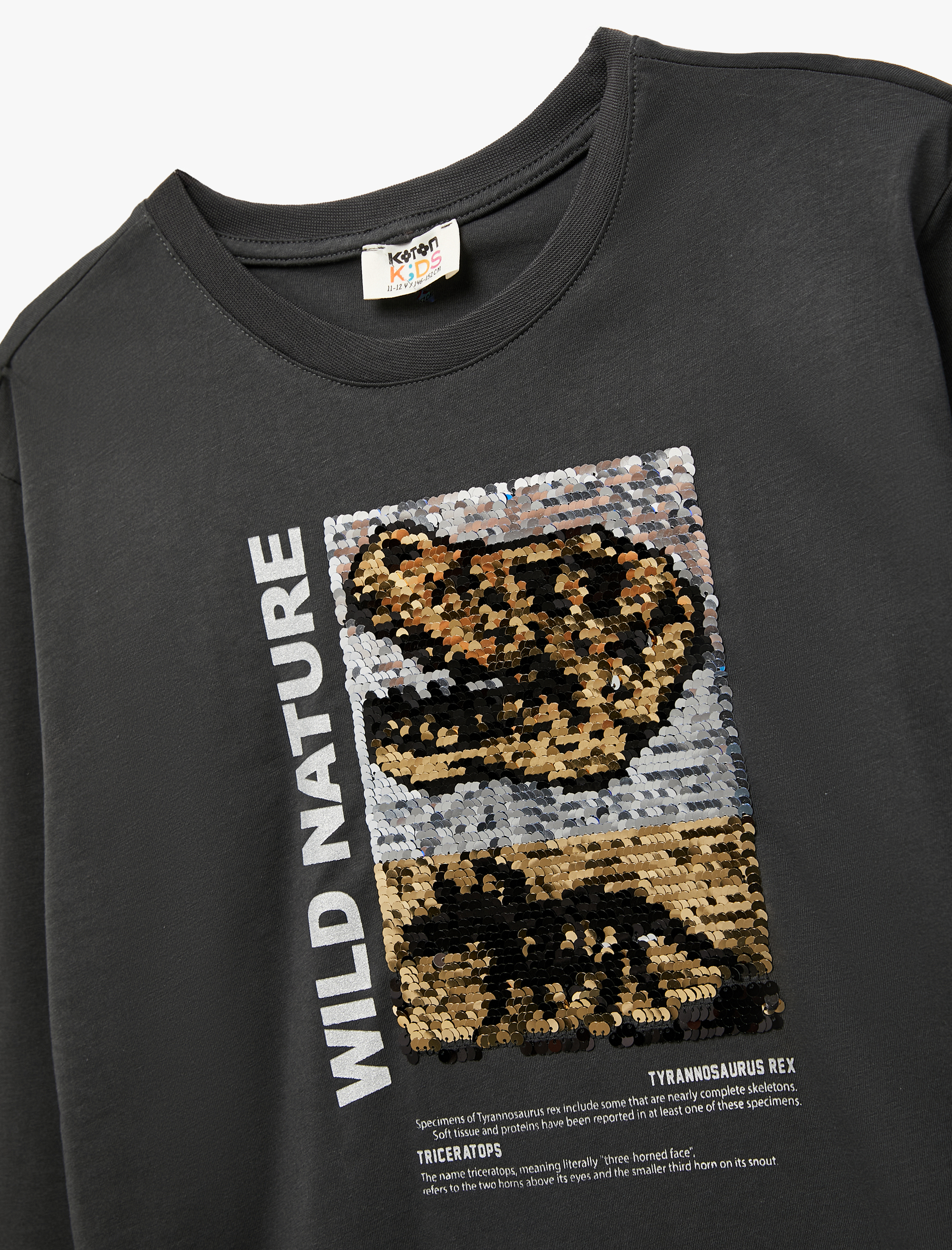  Erkek Çocuk Bisiklet Yaka Uzun Kollu Pullu Payetli Dinozor Baskılı Pamuklu Tişört