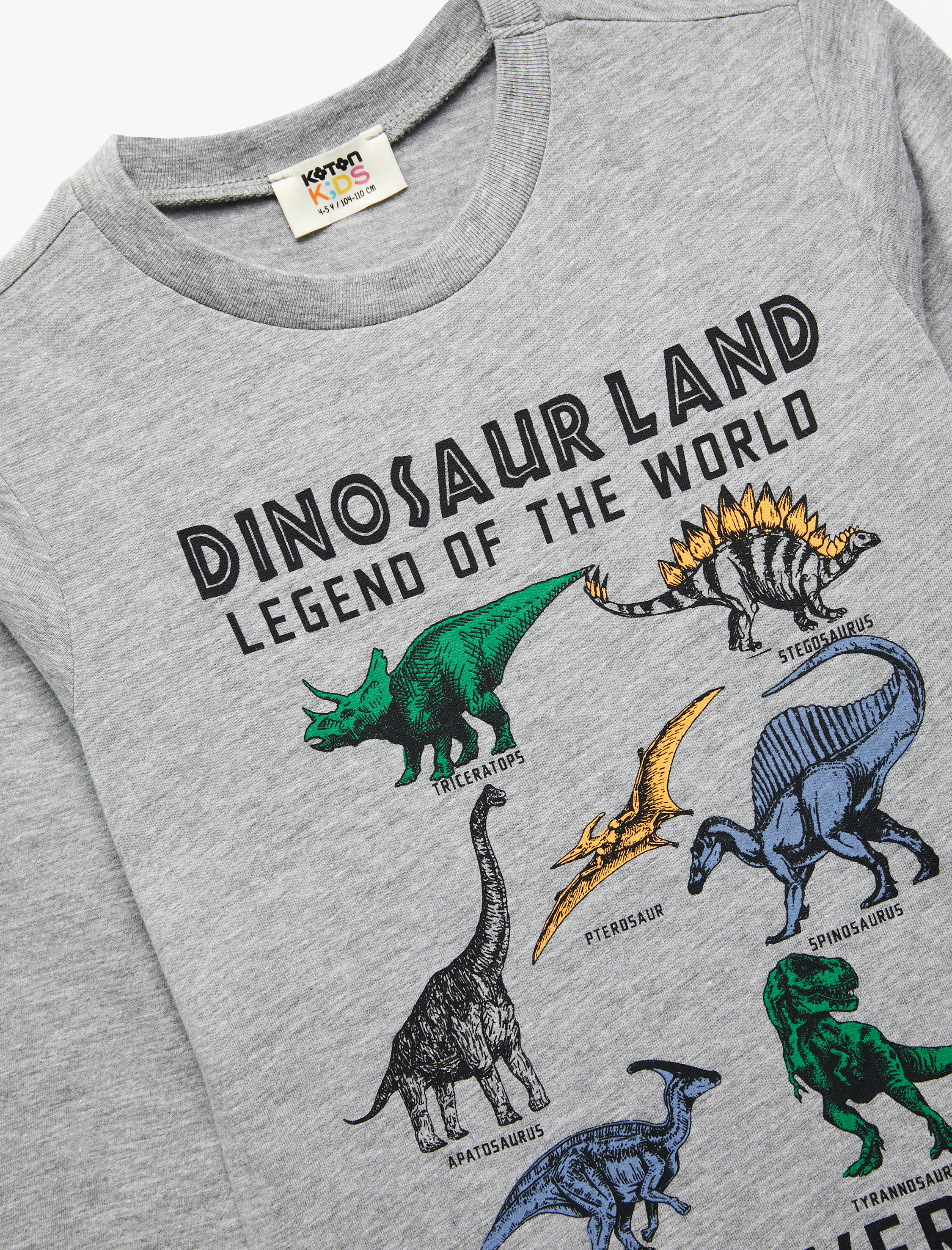 Erkek Çocuk Dinozor Baskılı Uzun Kollu Bisiklet Yaka Tişört