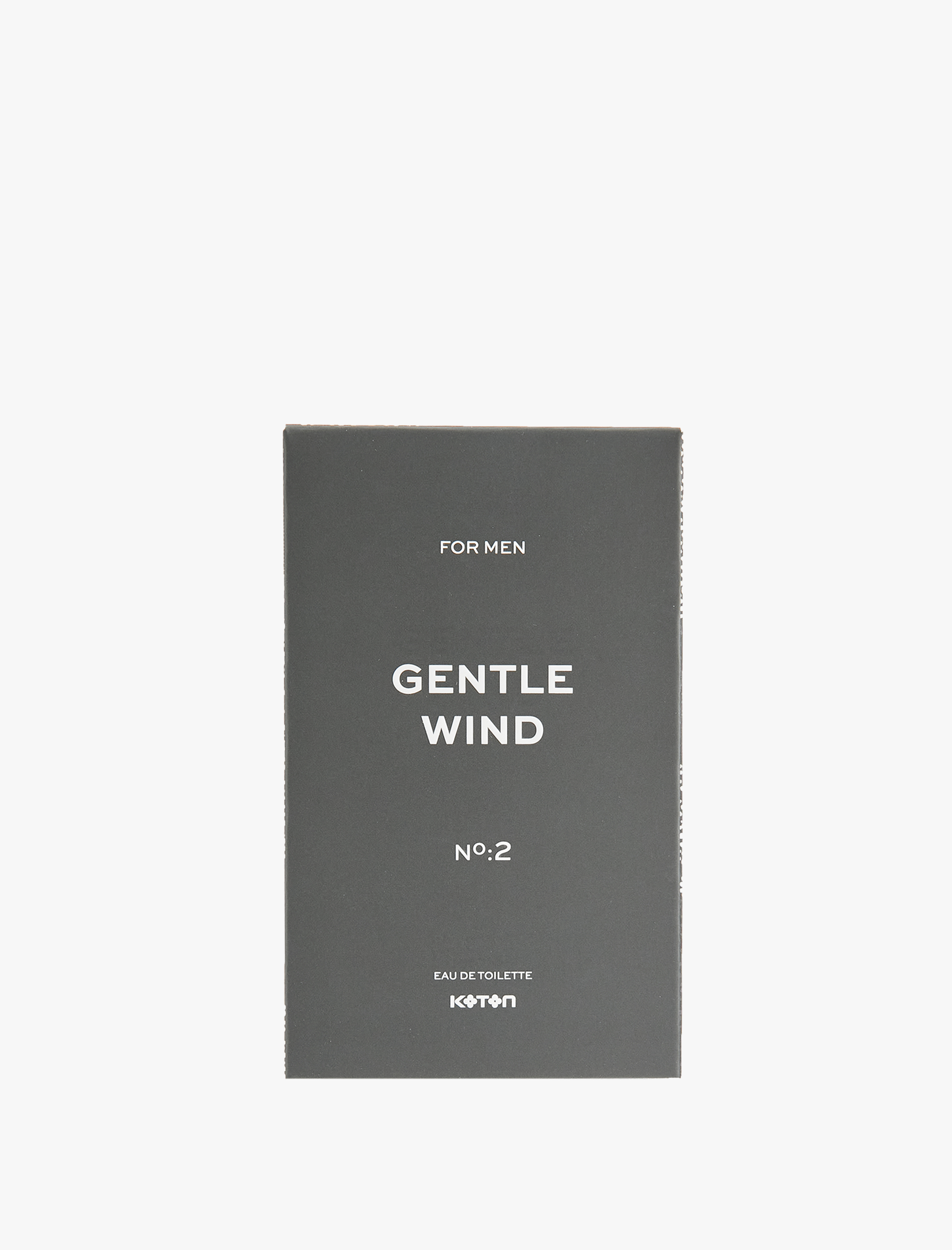  Erkek Parfüm Gentle Wind No:2 100 ML