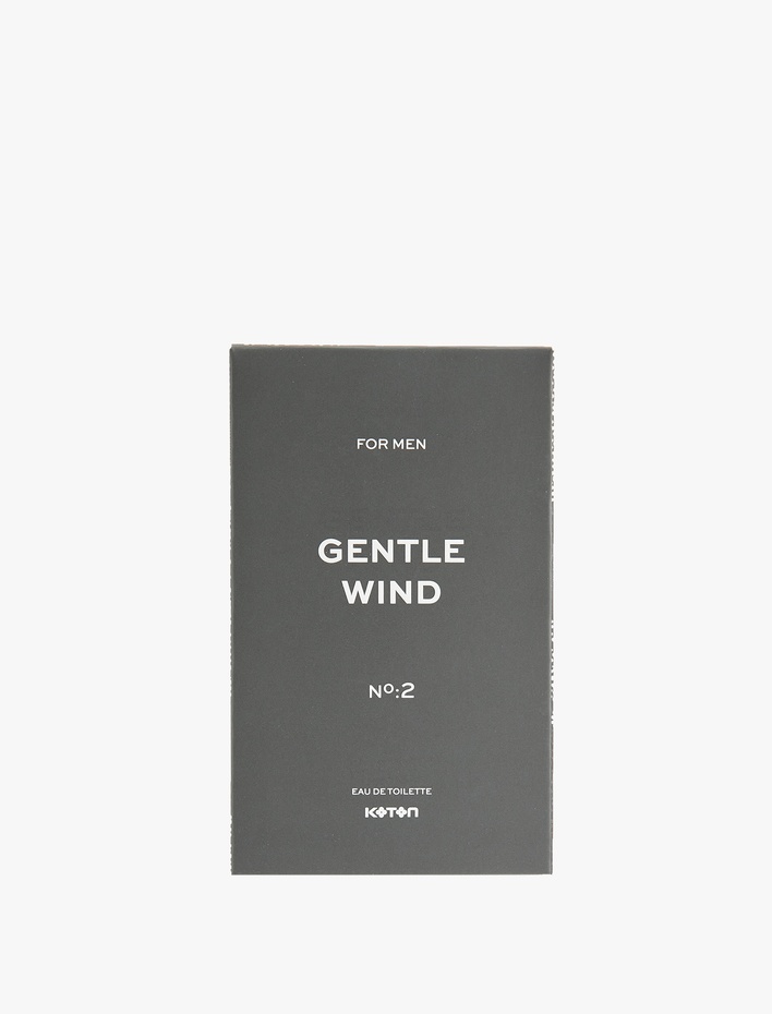 Erkek Parfüm Gentle Wind No:2 100 ML