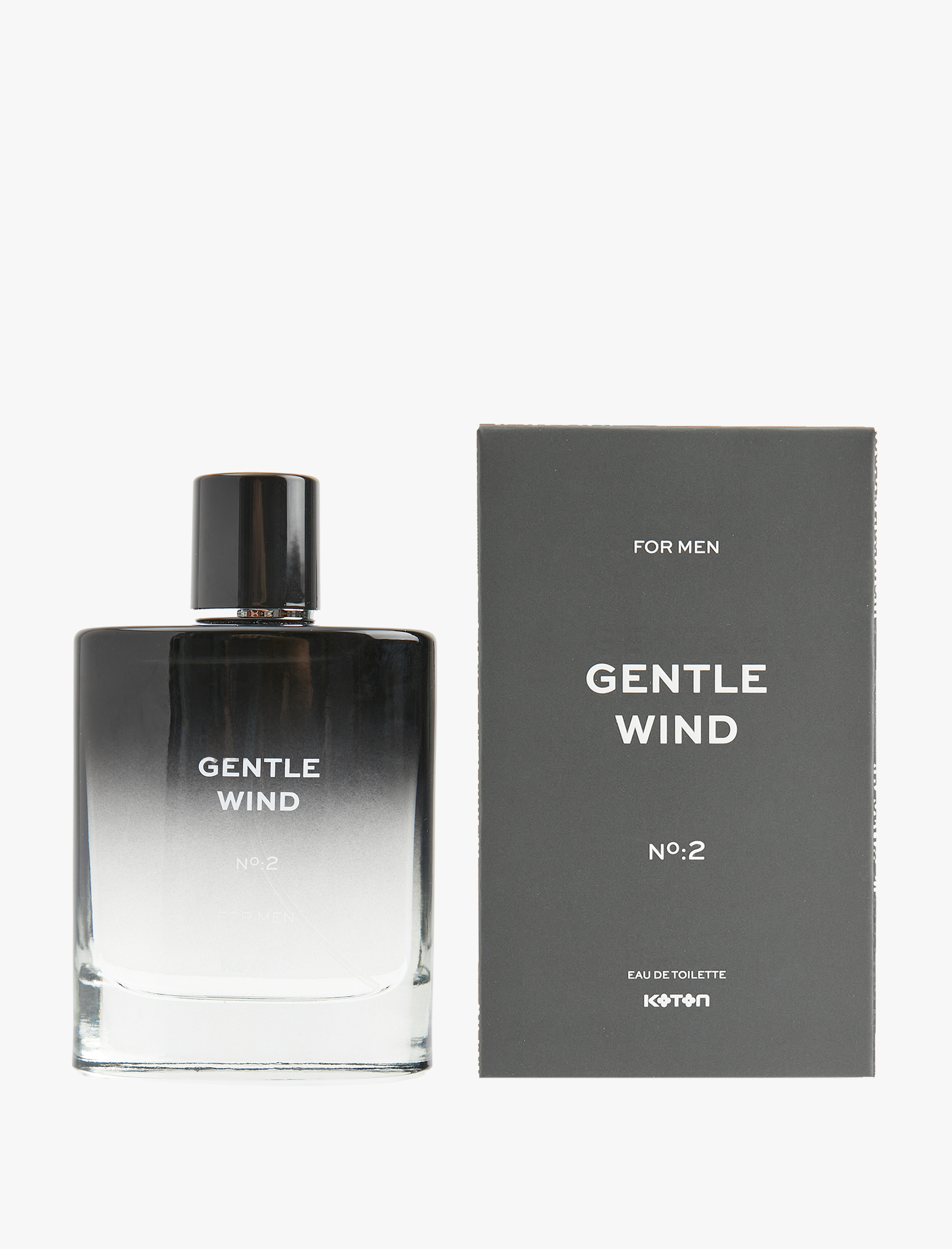  Erkek Parfüm Gentle Wind No:2 100 ML