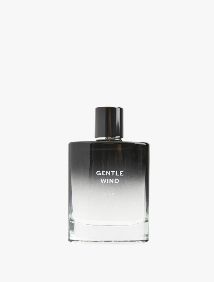 Erkek Parfüm Gentle Wind No:2 100 ML