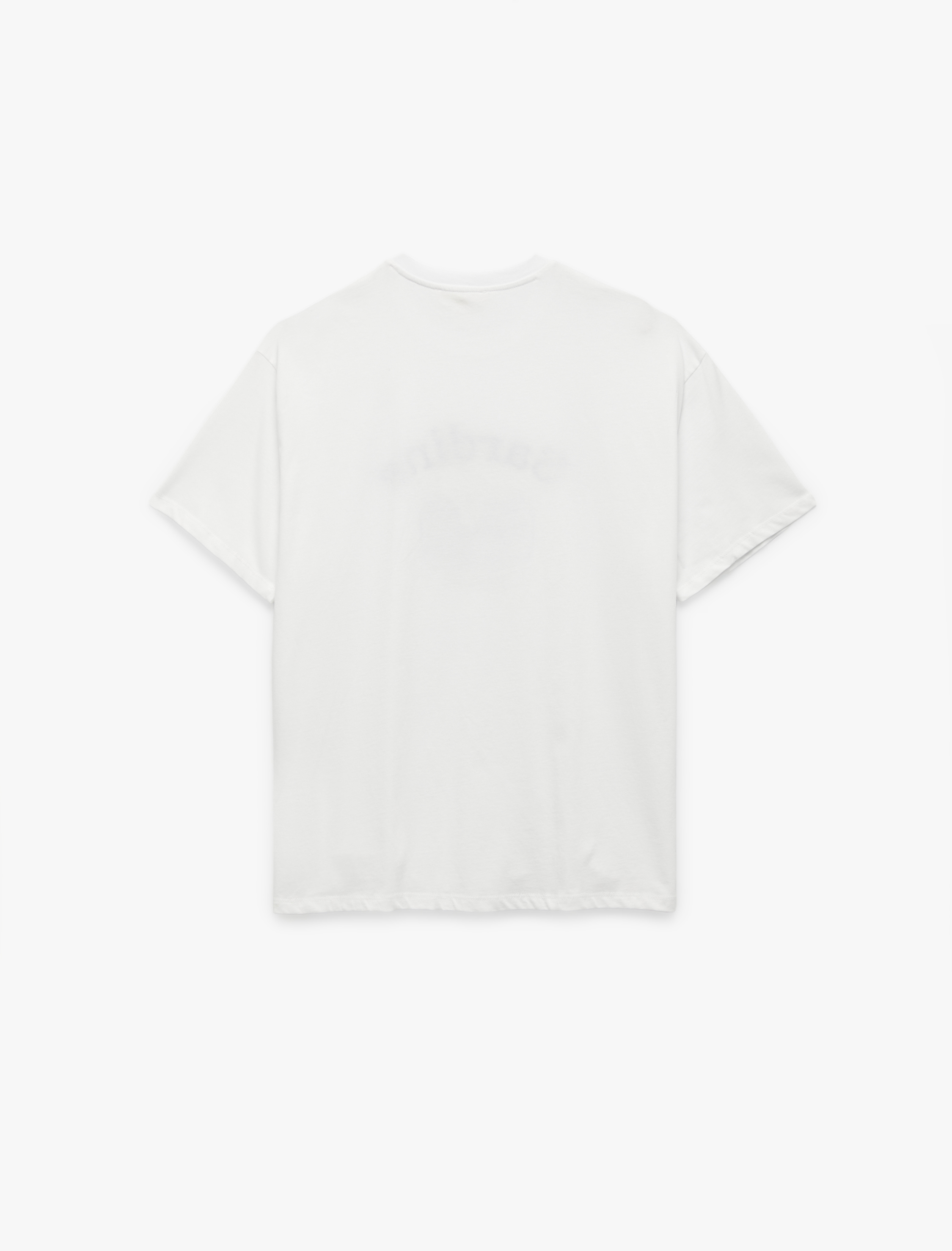   Pamuklu Bisiklet Yaka Kısa Kollu Sardalya Baskılı Oversize Tişört