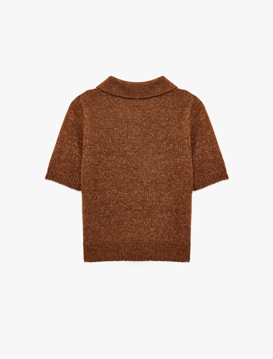   Regular Fit Kısa Kollu Polo Yaka Triko Kazak