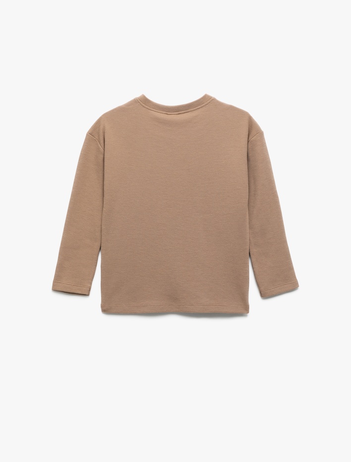 Erkek Bebek Pamuklu Kedi İşlemeli Bisiklet Yaka Uzun Kollu Tişört