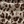 Koton X Zeynep Bastık - Tül Boyundan Fular Detaylı Drapeli Leopar Desenli Crop Straplez Bluz-5D4