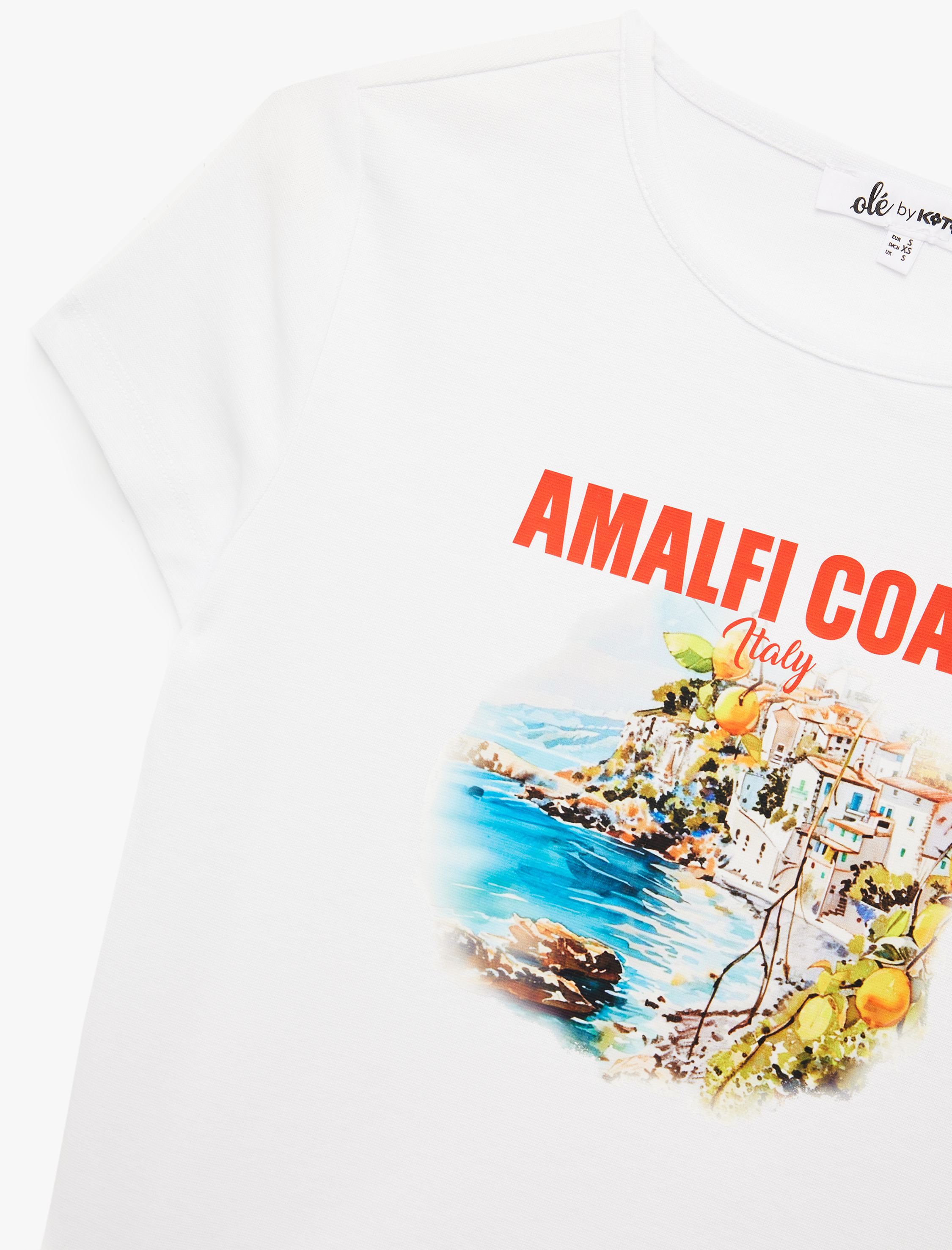   Slim Fit Kısa Kollu Bisiklet Yaka Baskılı Tişört