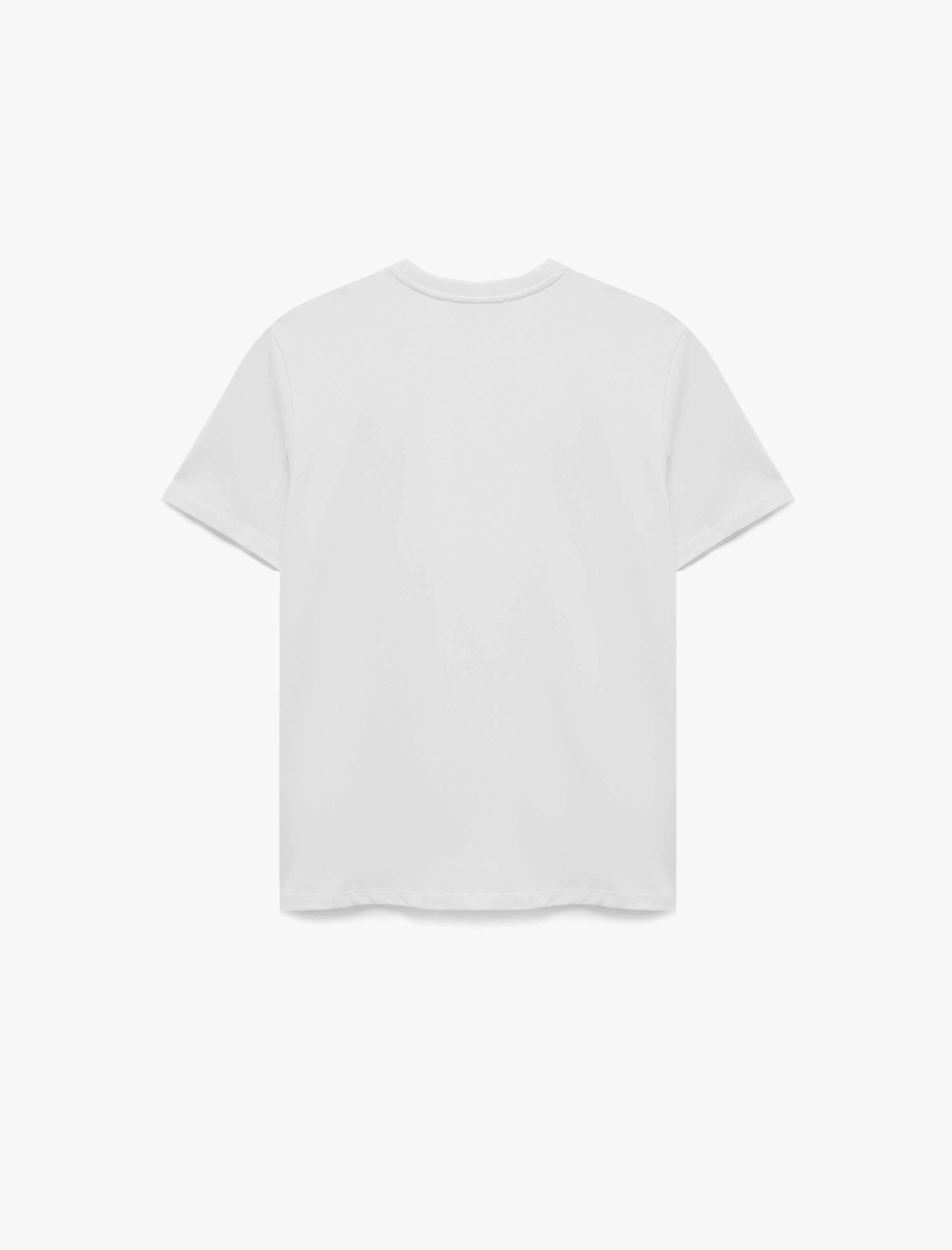   Regular Fit Kısa Kollu Bisiklet Yaka Tok Kumaş Pamuklu Basic Tişört