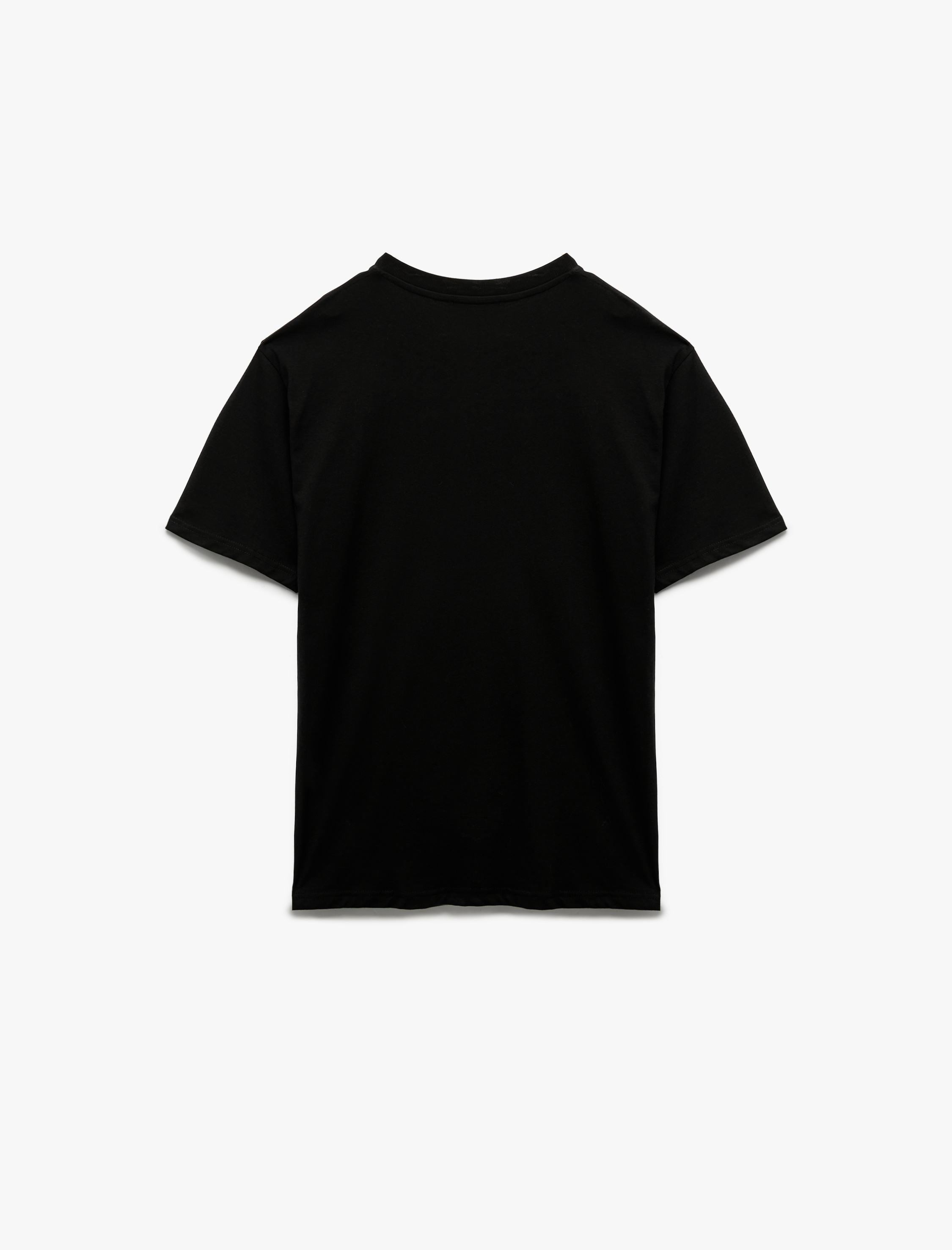   Regular Fit Kısa Kollu Pamuklu Bisiklet Yaka Basic Tişört