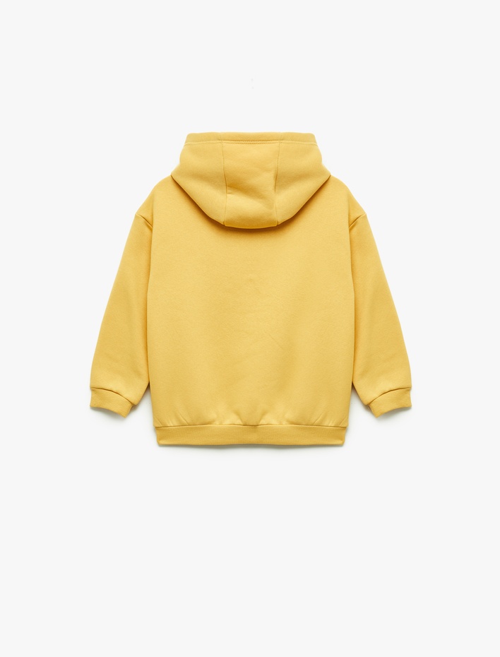 Erkek Bebek Şardonlu Uzun Kollu Kanguru cepli Aslan Baskılı Kapşonlu Sweatshirt