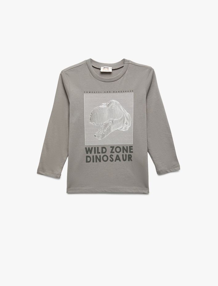 Erkek Çocuk Pamuklu Uzun Kollu Bisiklet Yaka Dinozor Baskılı Tişört