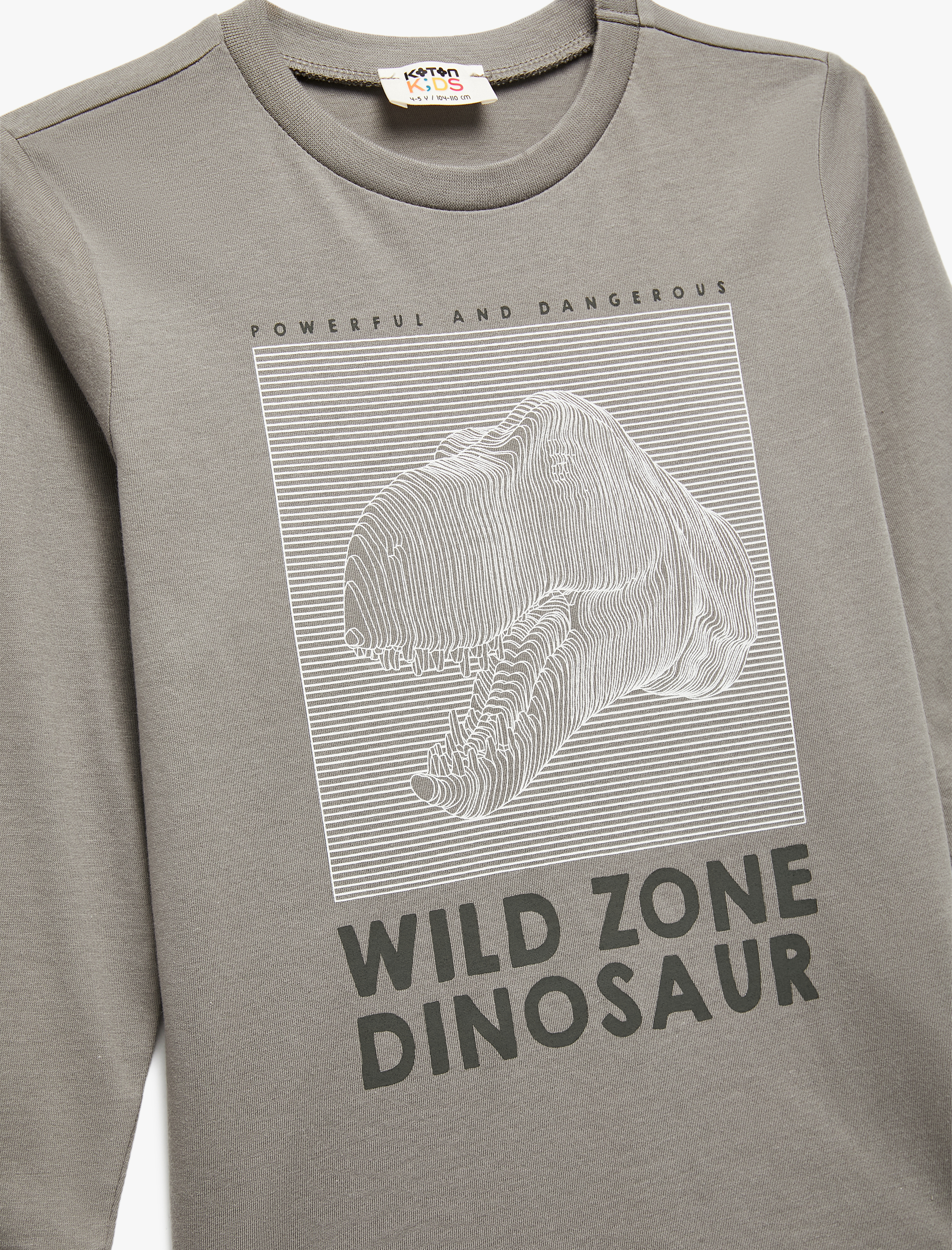  Erkek Çocuk Pamuklu Uzun Kollu Bisiklet Yaka Dinozor Baskılı Tişört