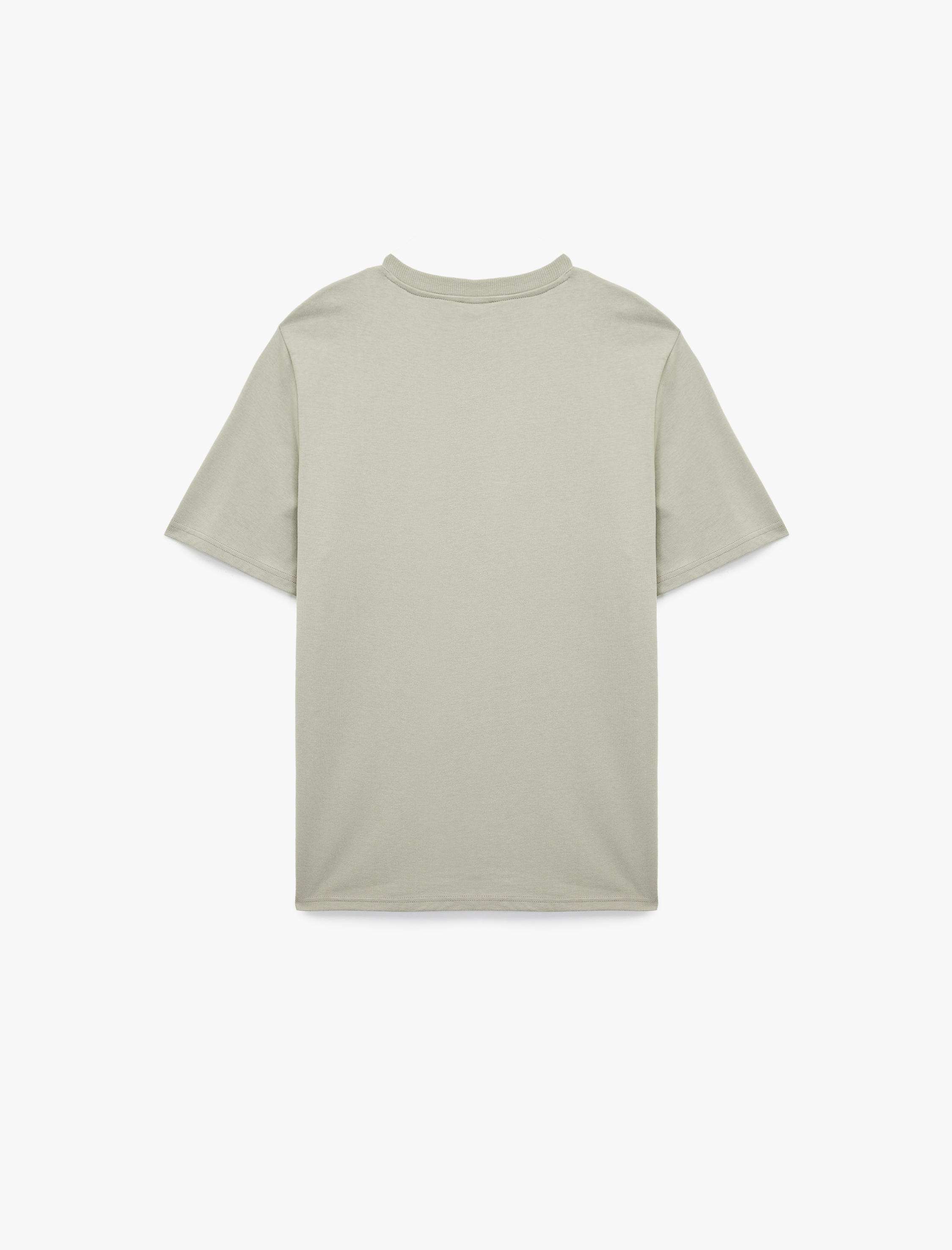   Regular Fit Kısa Kollu Bisiklet Yaka Pamuklu Baskılı Tişört