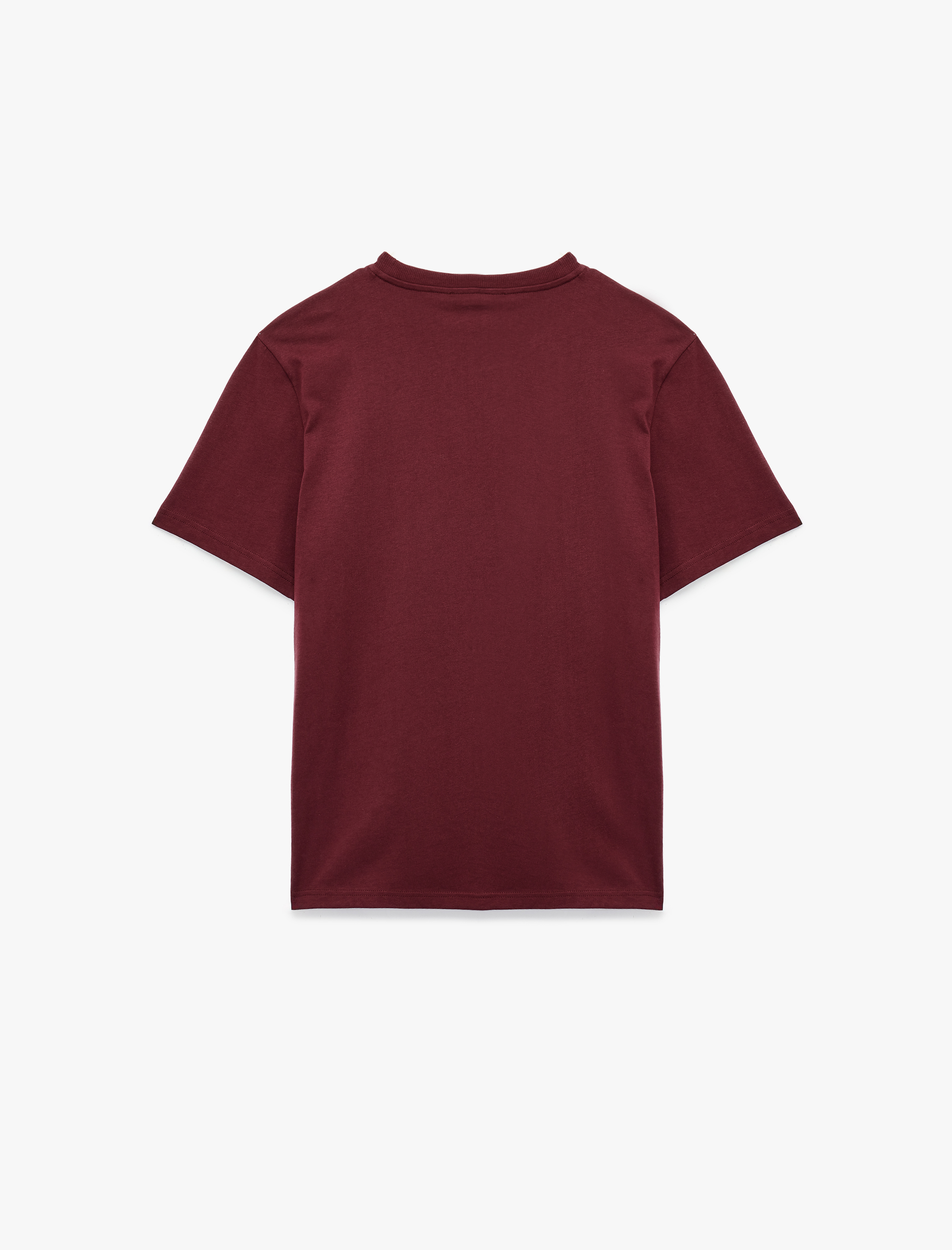   Kısa Kollu Regular Fit Bisiklet Yaka Pamuklu Baskılı Tişört