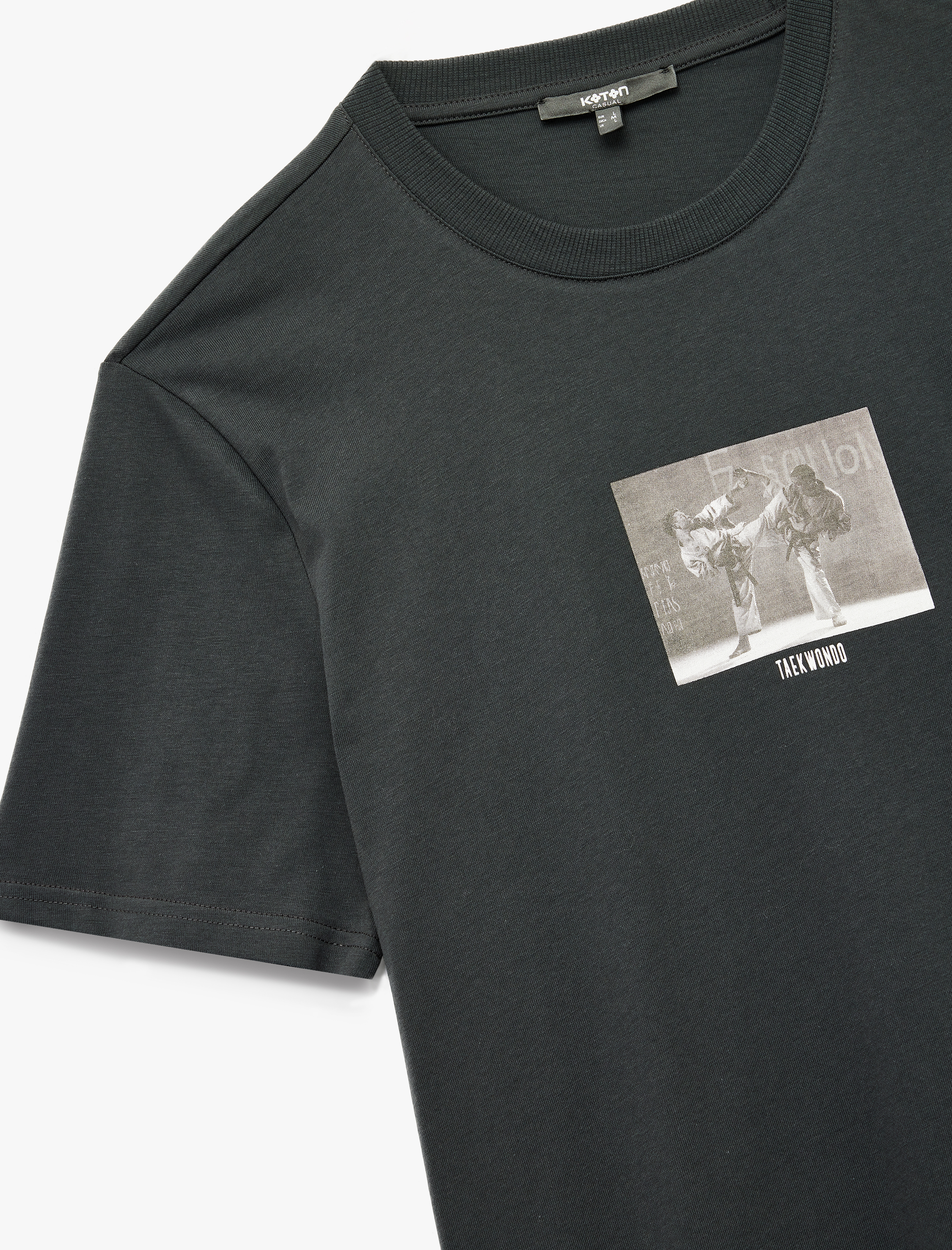   Regular Fit Kısa Kollu Bisiklet Yaka Pamuklu Baskılı Tişört