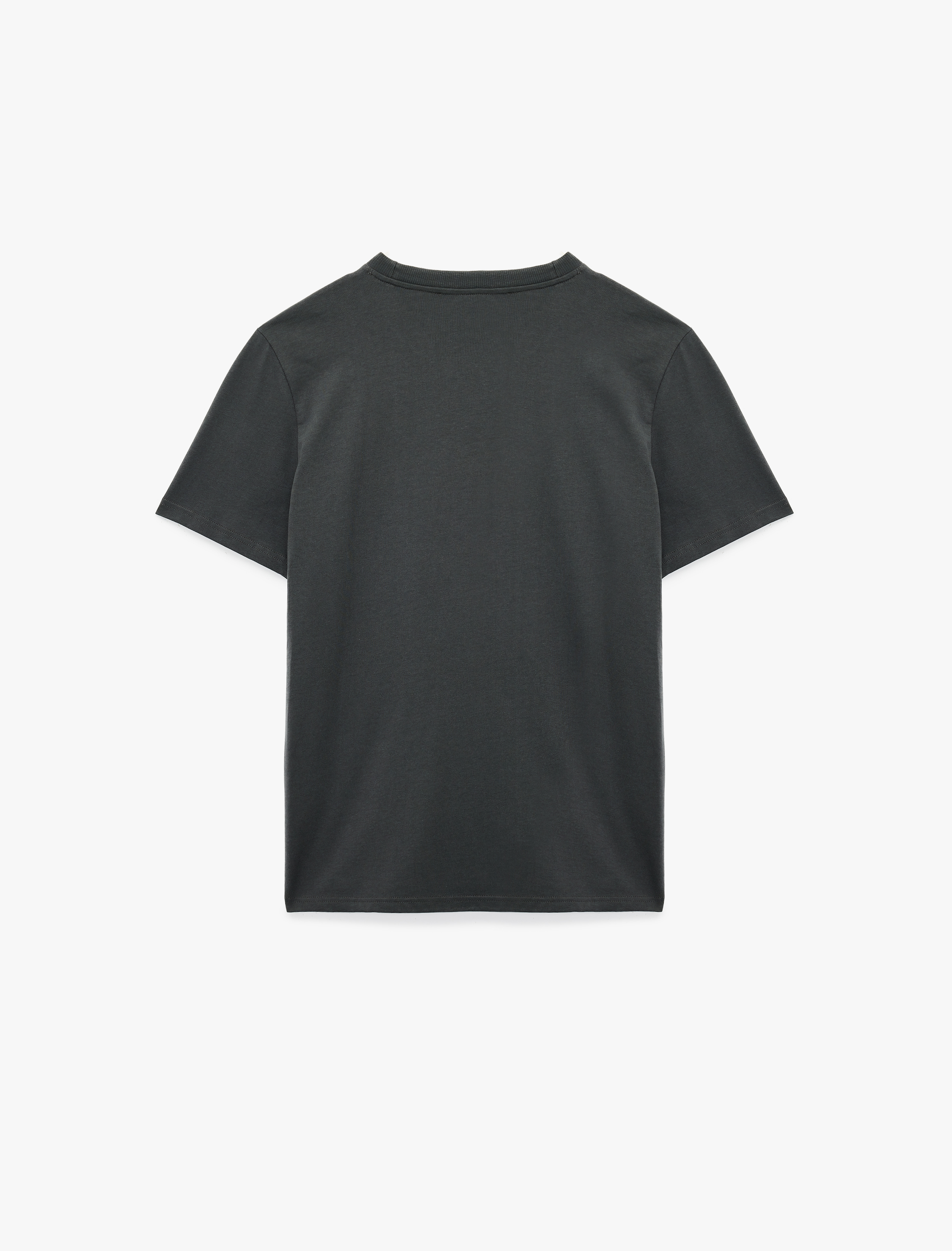   Regular Fit Kısa Kollu Bisiklet Yaka Pamuklu Baskılı Tişört