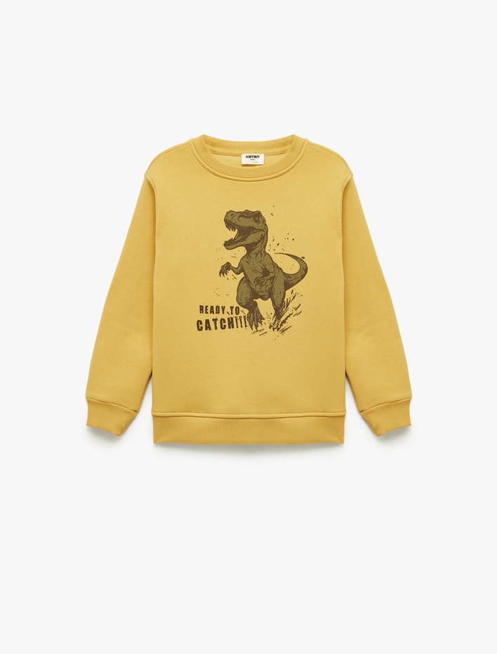 Erkek Çocuk Dinozor Baskılı Uzun Kollu Şardonlu Bisiklet Yaka Sweatshirt