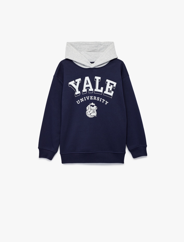 Erkek Çocuk Lisanslı Kapşonlu Uzun Kollu Şardonlu Baskılı Sweatshirt