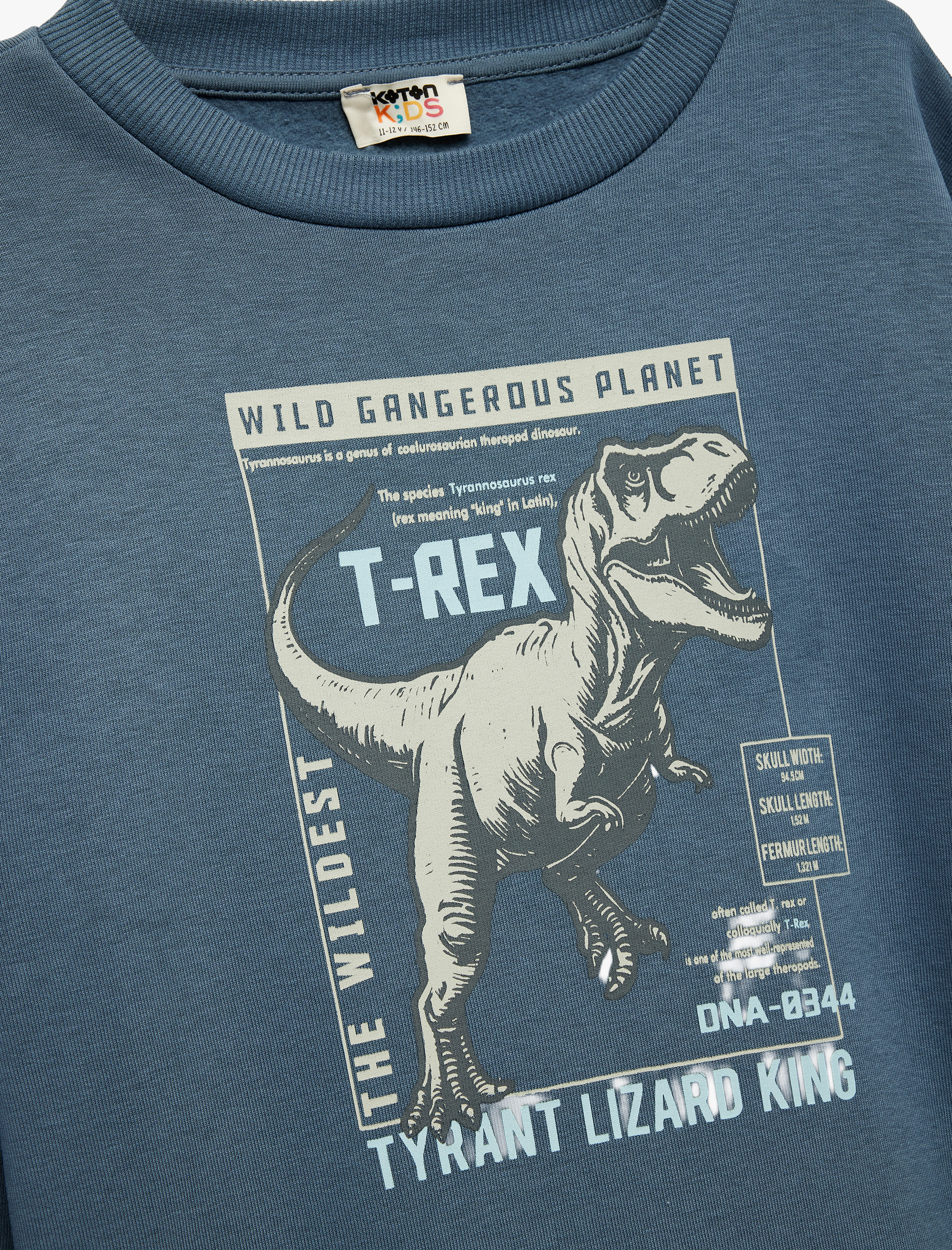  Erkek Çocuk Uzun Kollu Bisiklet Yaka Şardonlu Dinozor Baskılı Sweatshirt