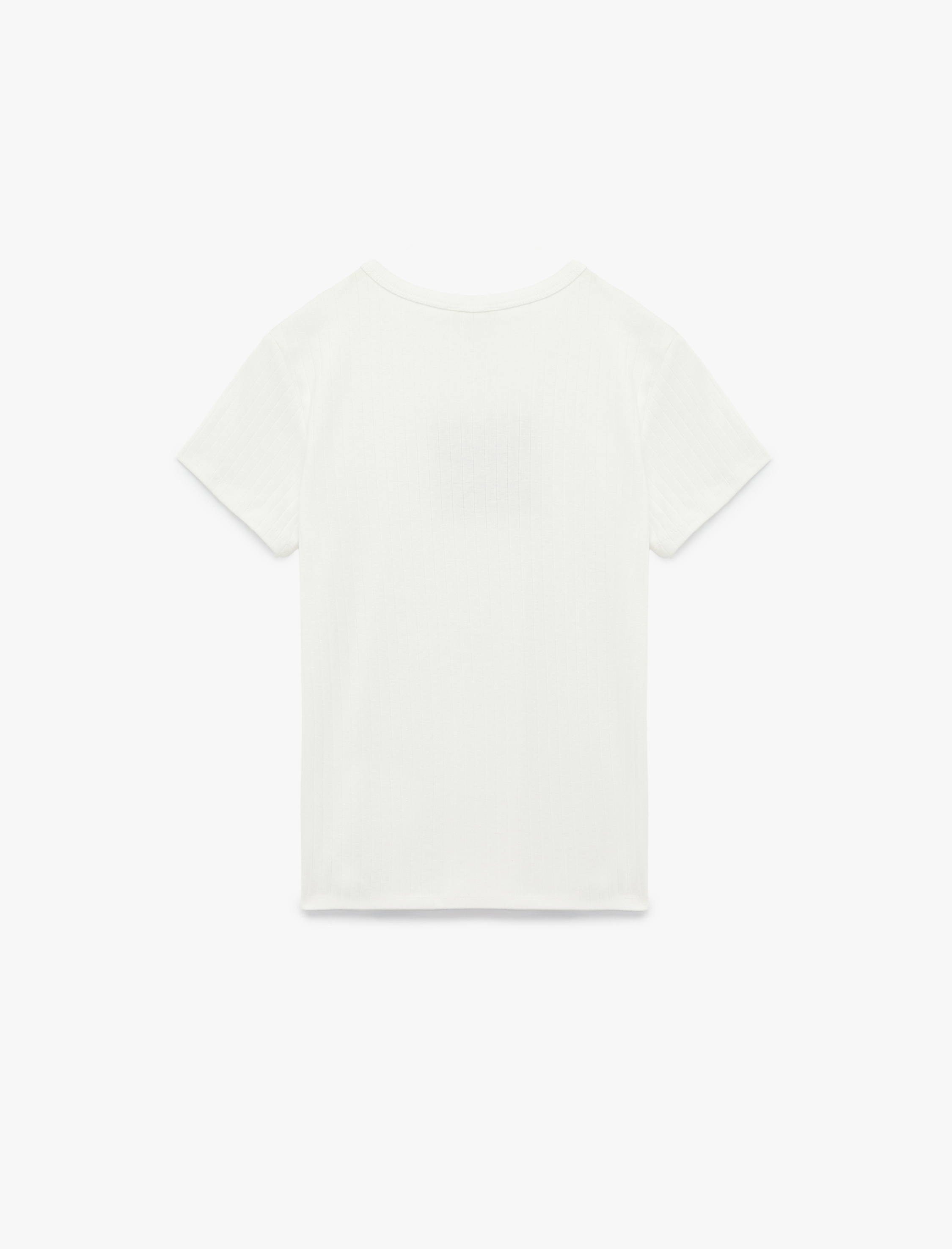 Dar Kalıp Kısa Kollu Bisiklet Yaka Pamuklu İşlemeli Tişört