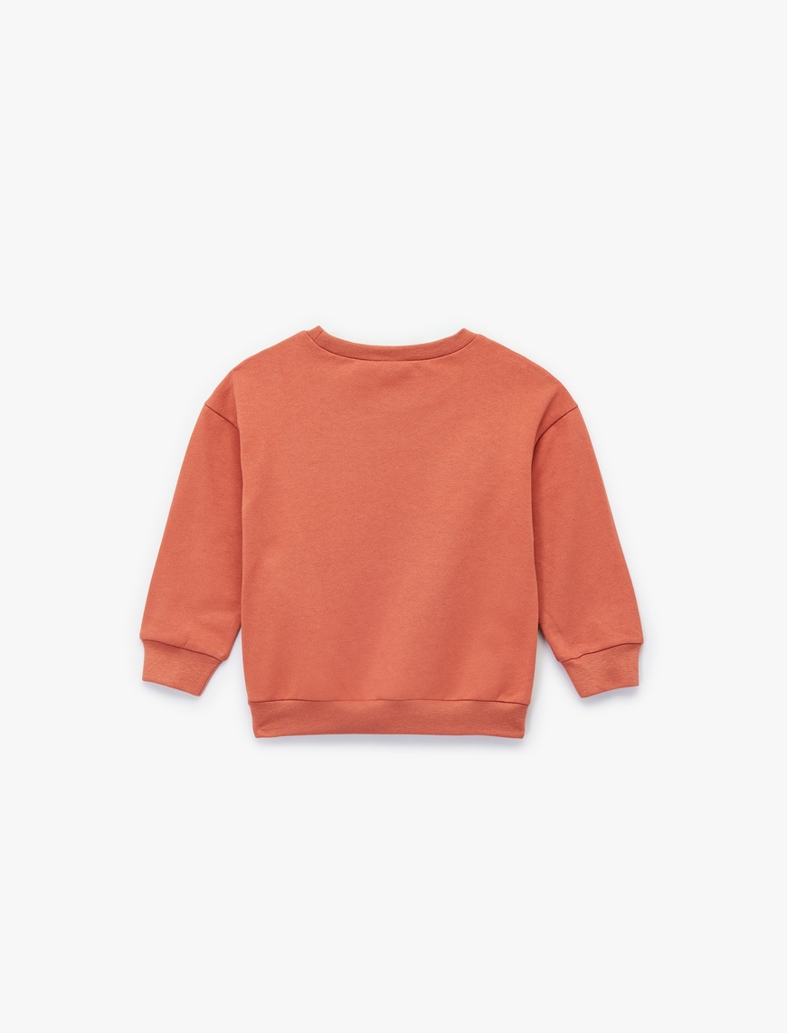  Erkek Bebek Şardonlu Kaplan İşlemeli Uzun Kollu Bisiklet Yaka Sweatshirt