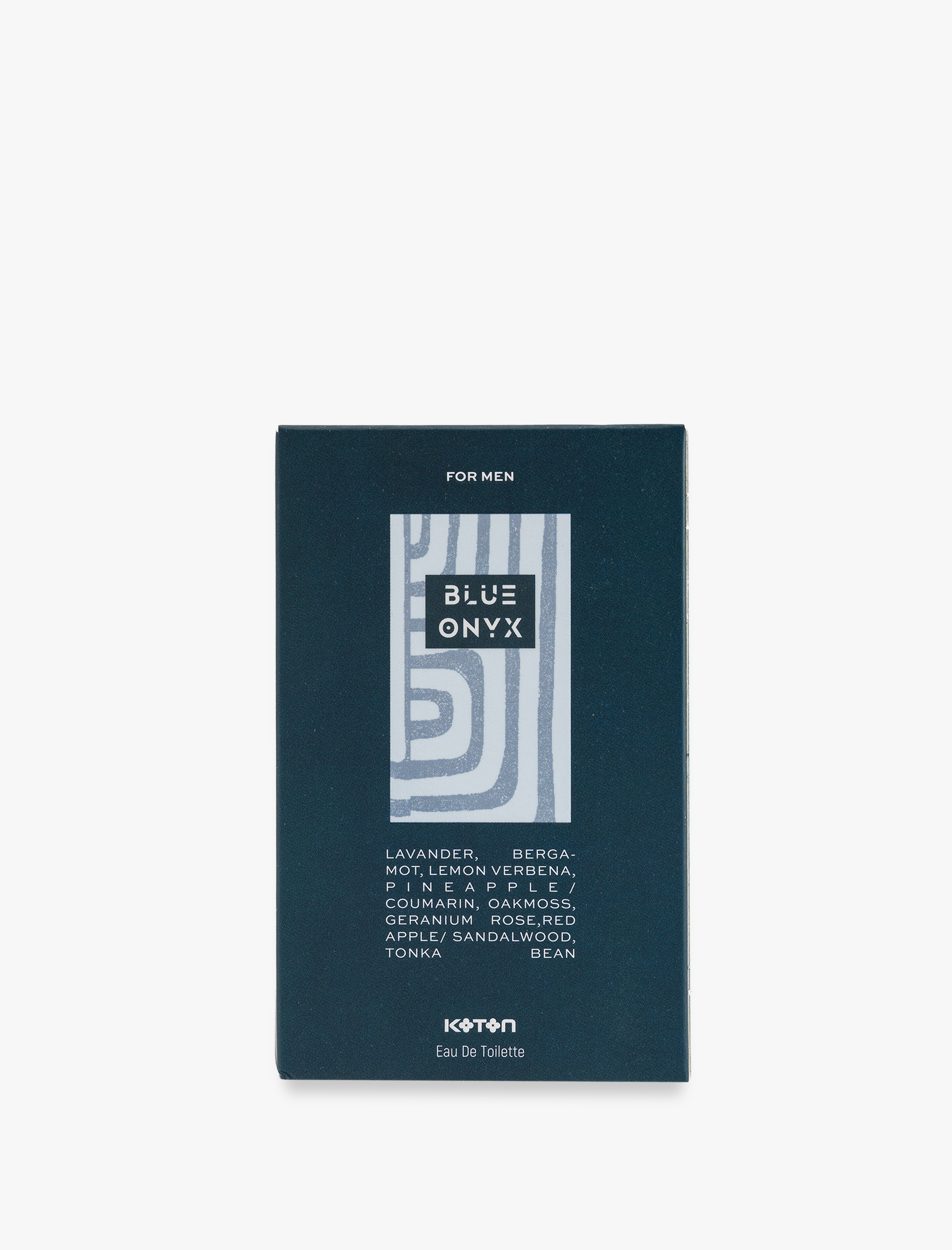  Erkek Parfüm Blue Onyx 100 ML