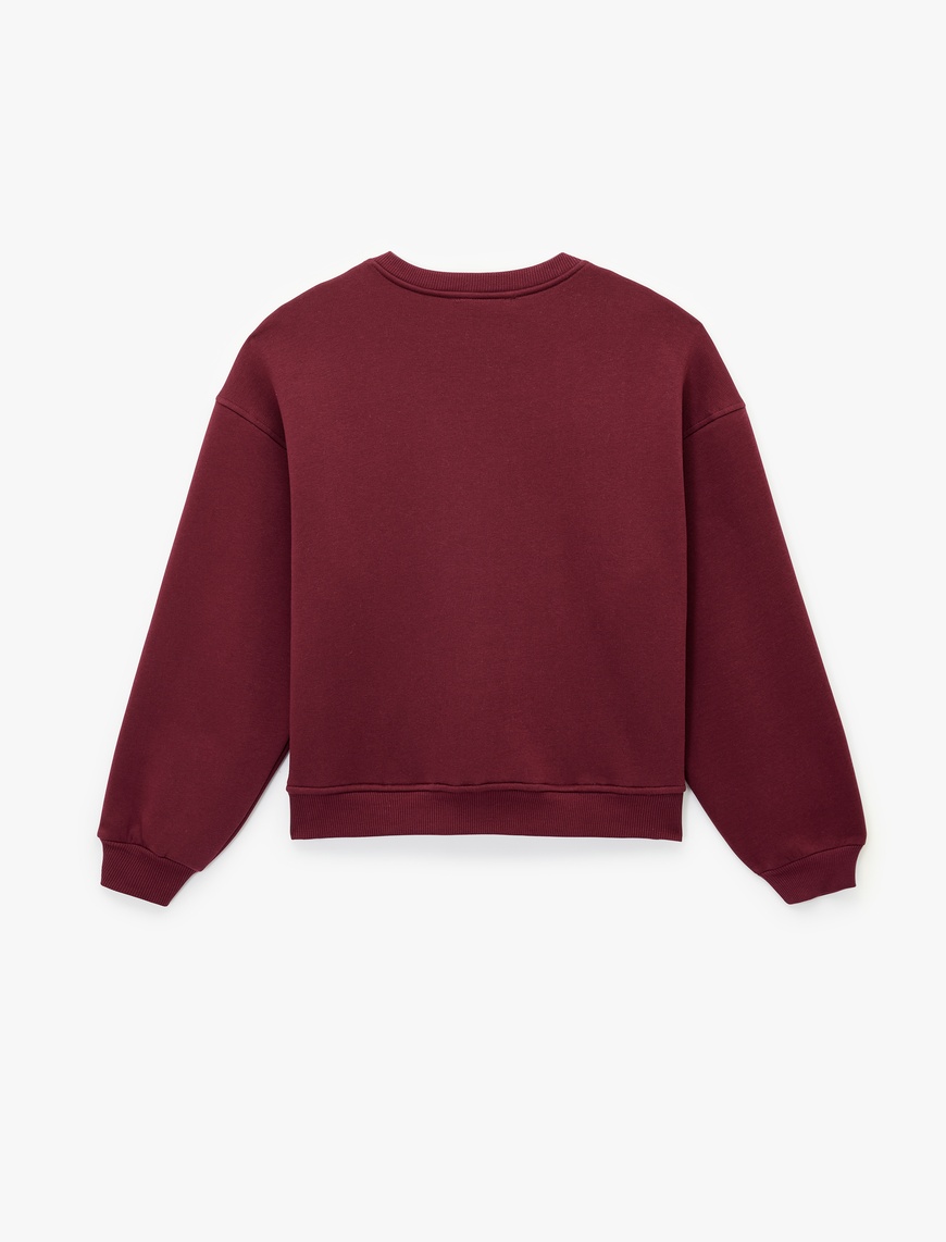   Uzun Kollu Bisiklet Yaka Köpek Nakışlı Oversize Sweatshirt
