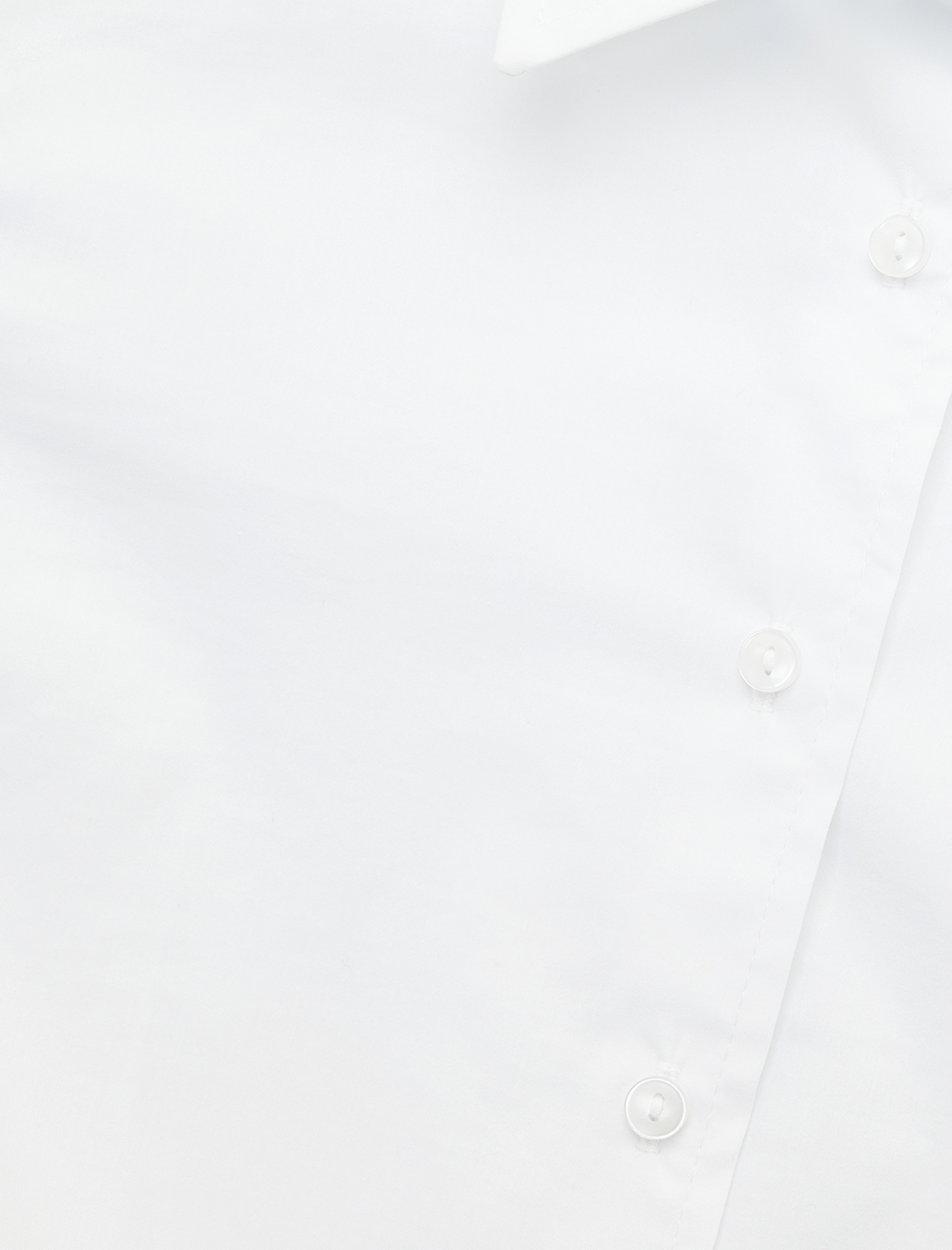   Pamuklu Slim Fit Uzun Kollu İşleme Detaylı Poplin Gömlek