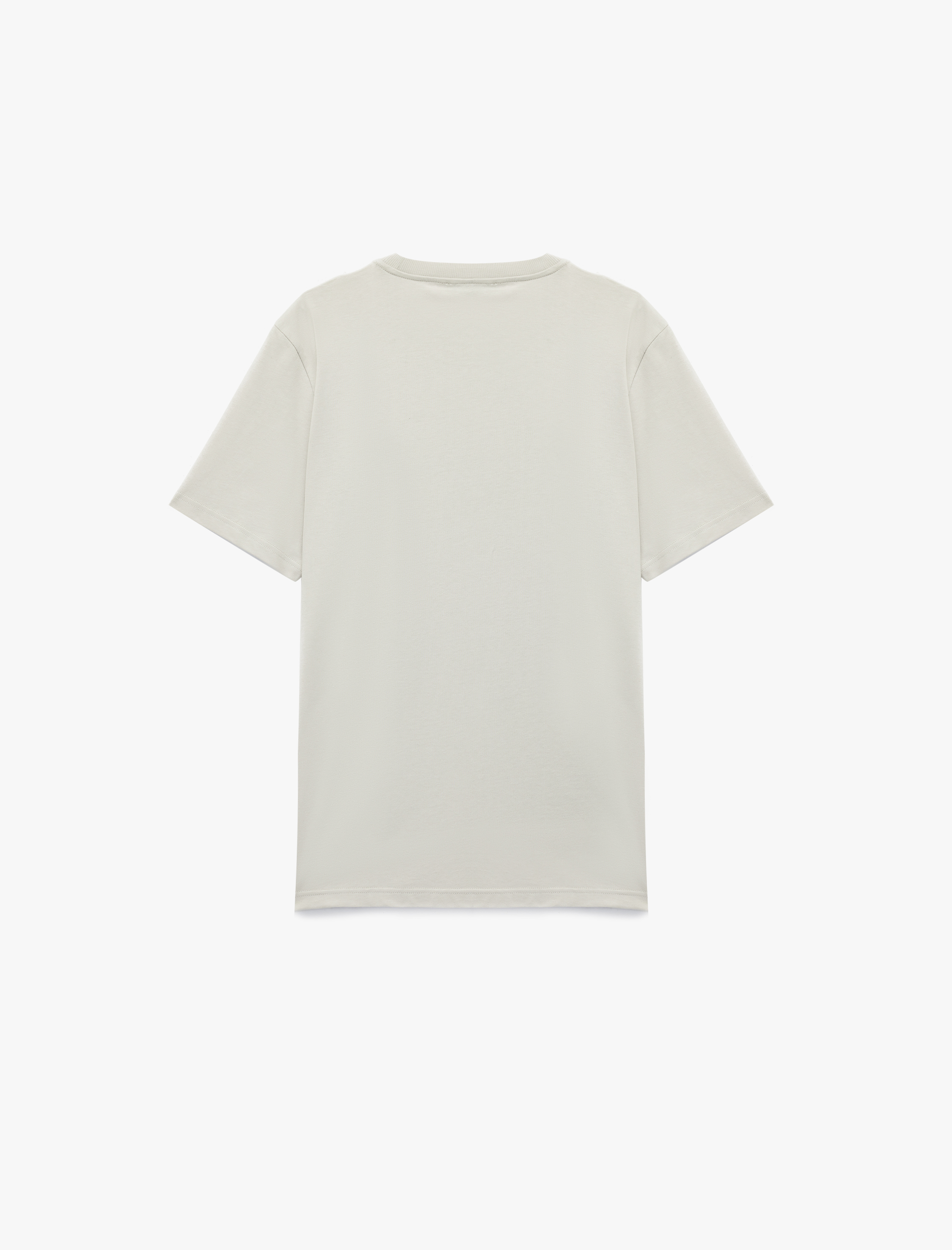   Regular Fit Kısa Kollu Bisiklet Yaka Pamuklu Baskılı Tişört