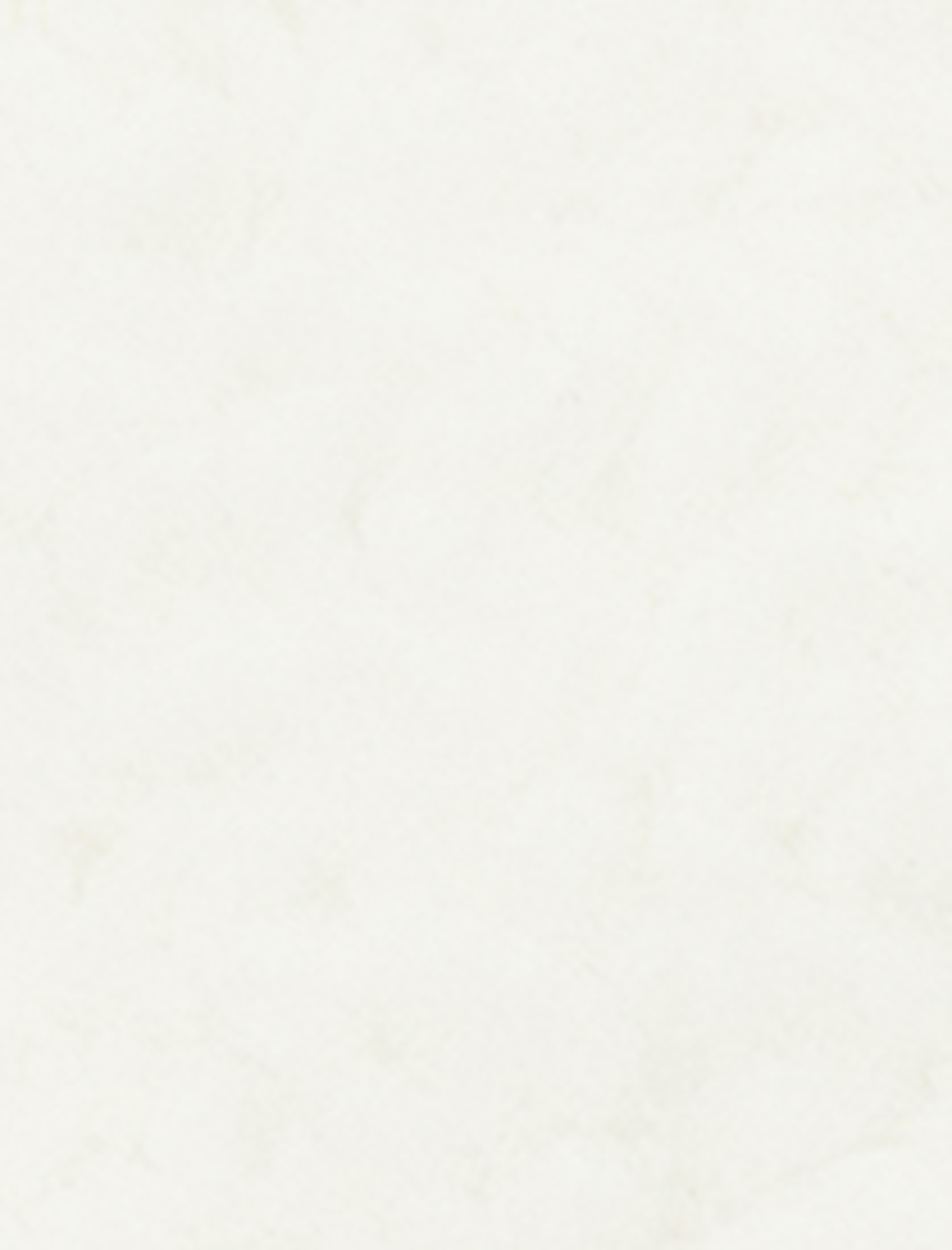 Uzun Kollu Cepli Fermuarlı Dik Yaka Detaylı Anorak Peluş Şişme Mont