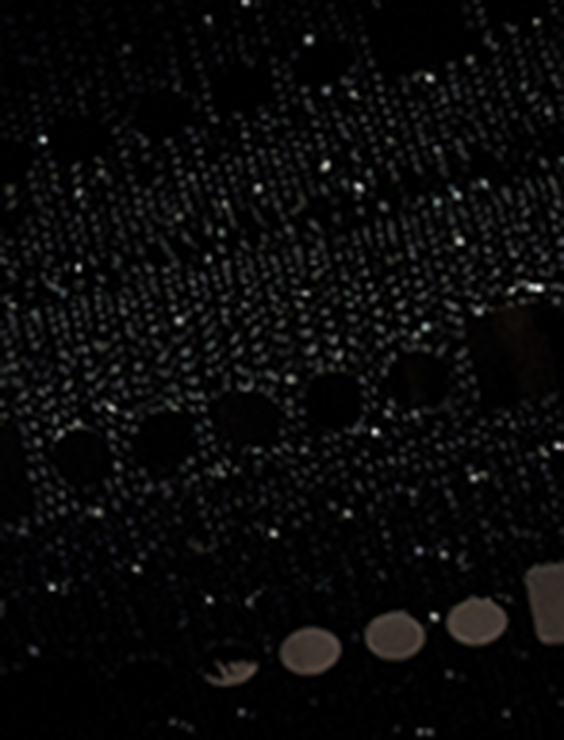   Pullu Payetli Kolsuz Pencere Detaylı Tek Omuz Uzun Abiye Elbise