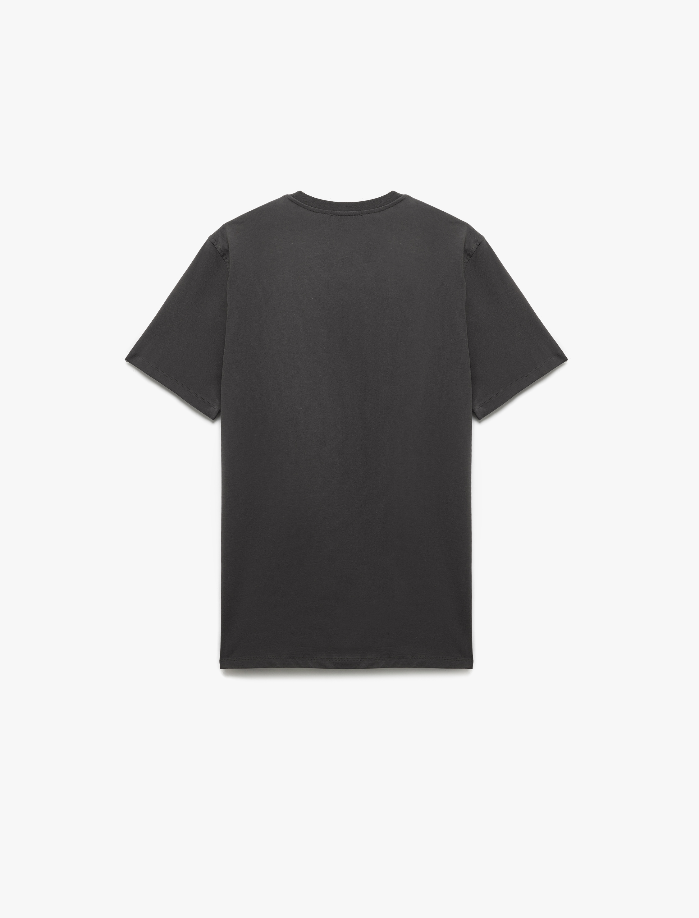   Pamuklu Kısa Kollu Bisiklet Yaka Slim Fit Erkek Basic Tişört