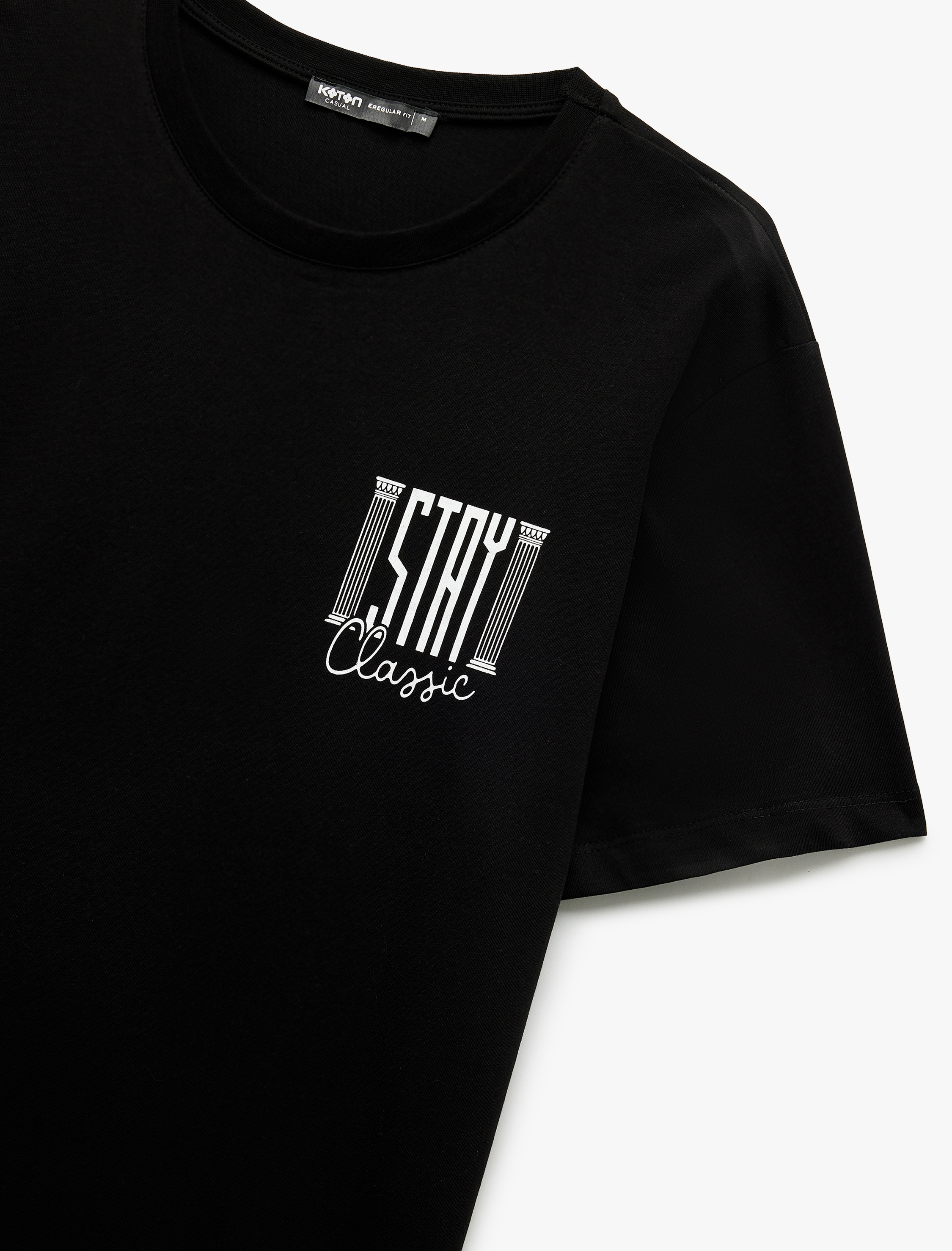   Kısa Kollu Bisiklet Yaka Regular Fit Pamuklu Baskılı Tişört