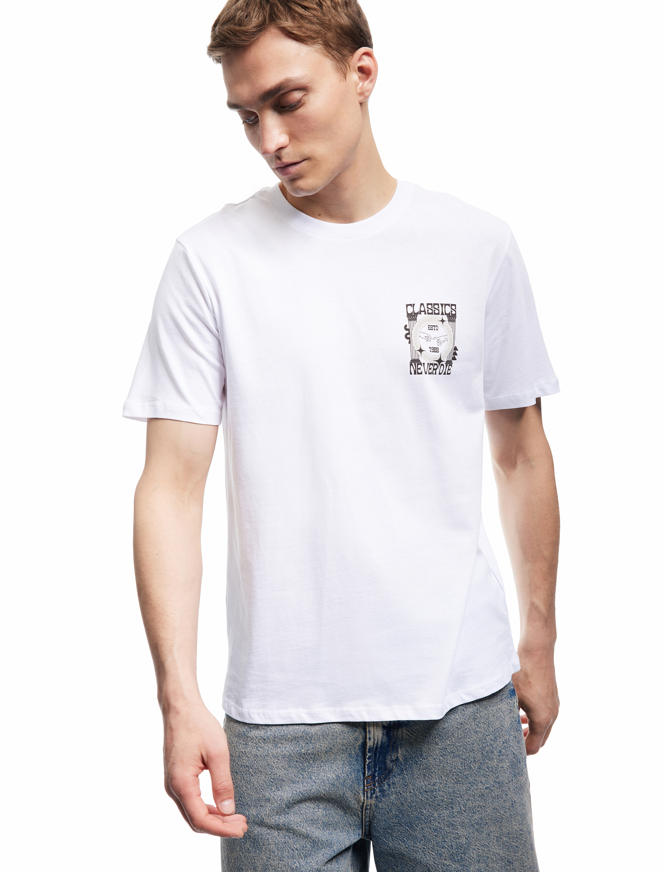   Kısa Kollu Bisiklet Yaka Regular Fit Pamuklu Baskılı Tişört