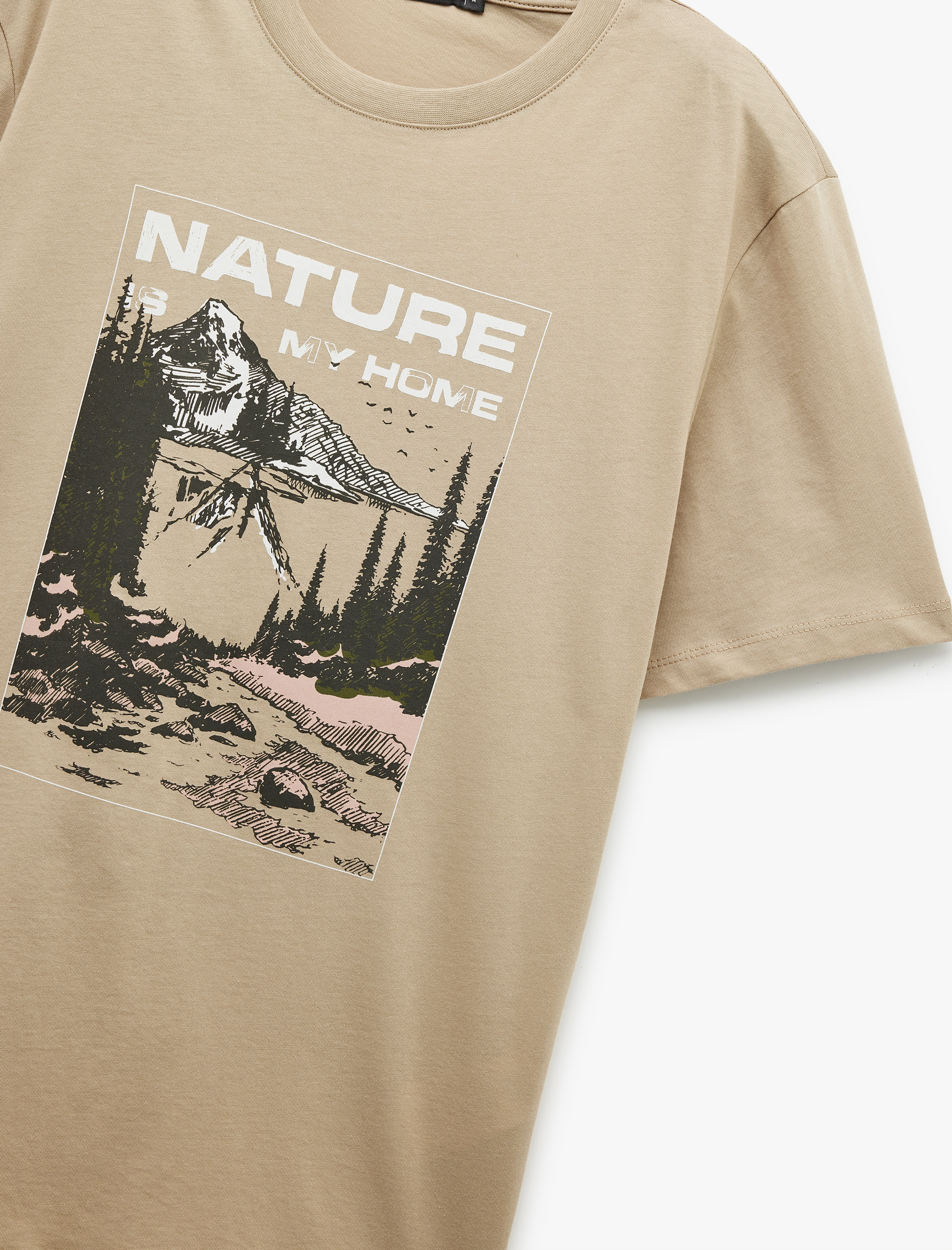   Bisiklet Yaka Pamuklu Kısa Kollu Regular Fit Baskılı Tişört