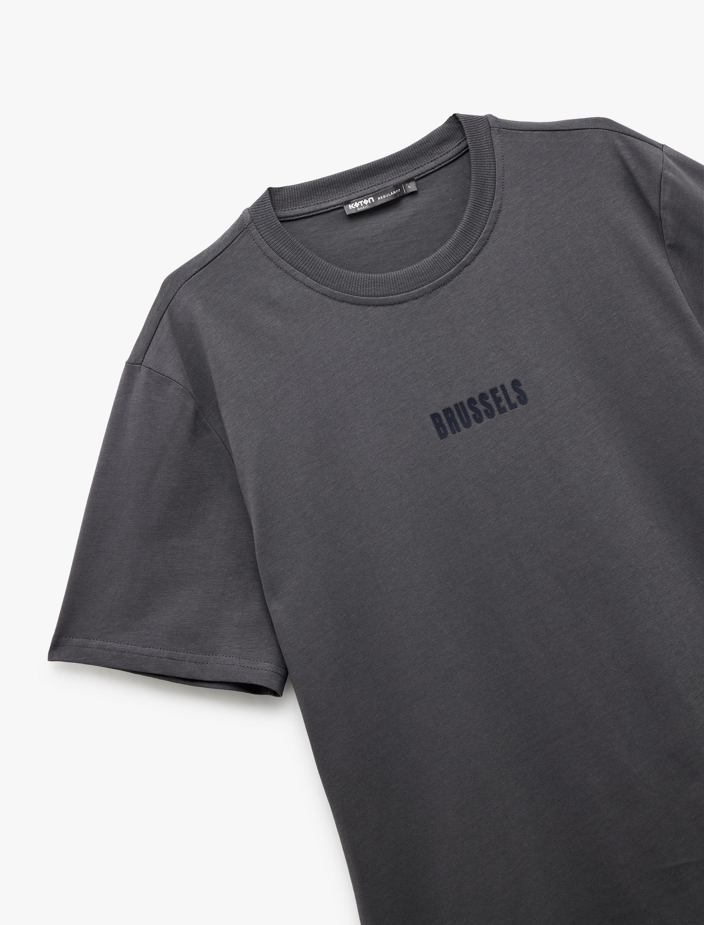   Pamuklu Kısa Kollu Regular Fit Bisiklet Yaka Baskılı Tişört