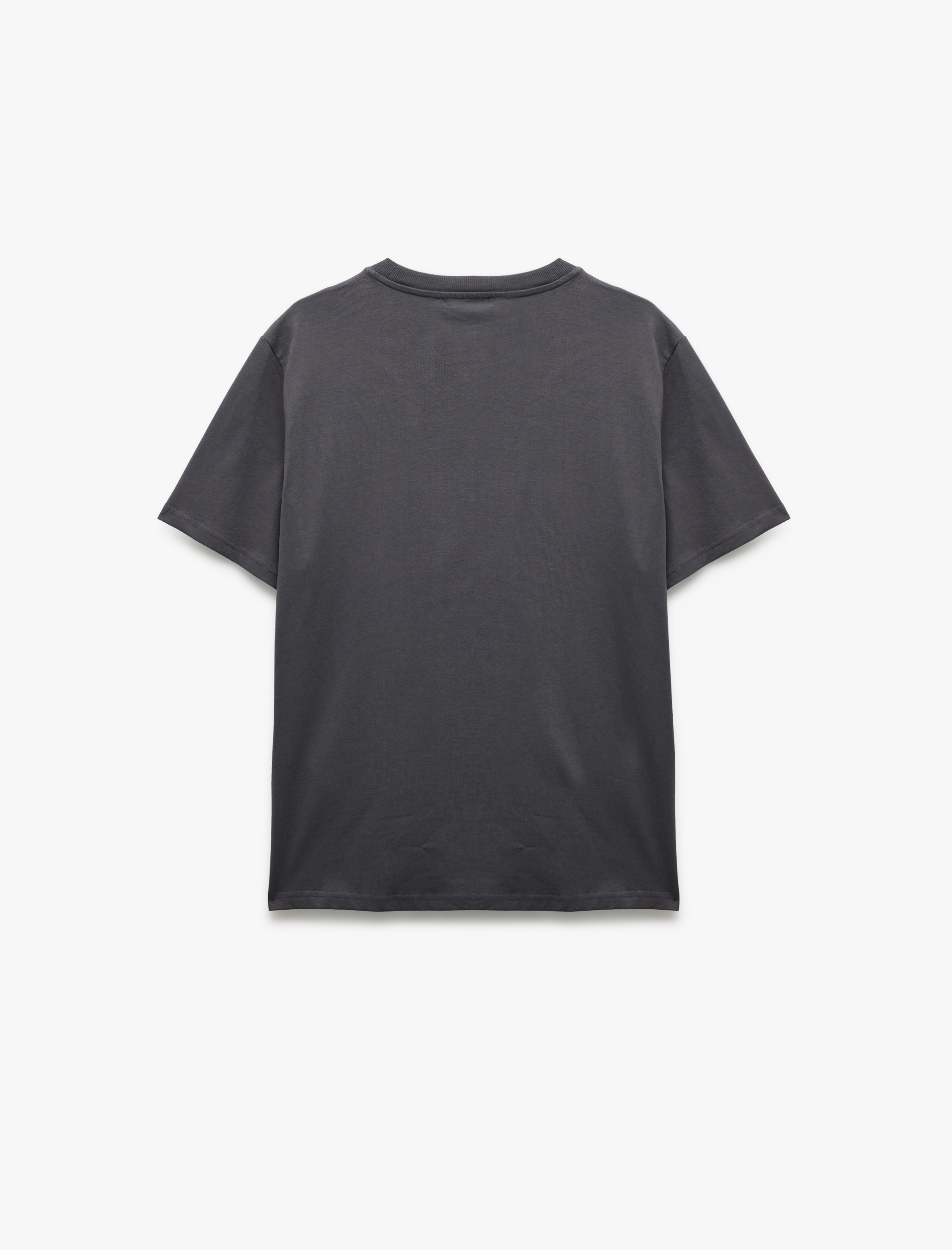   Pamuklu Kısa Kollu Regular Fit Bisiklet Yaka Baskılı Tişört