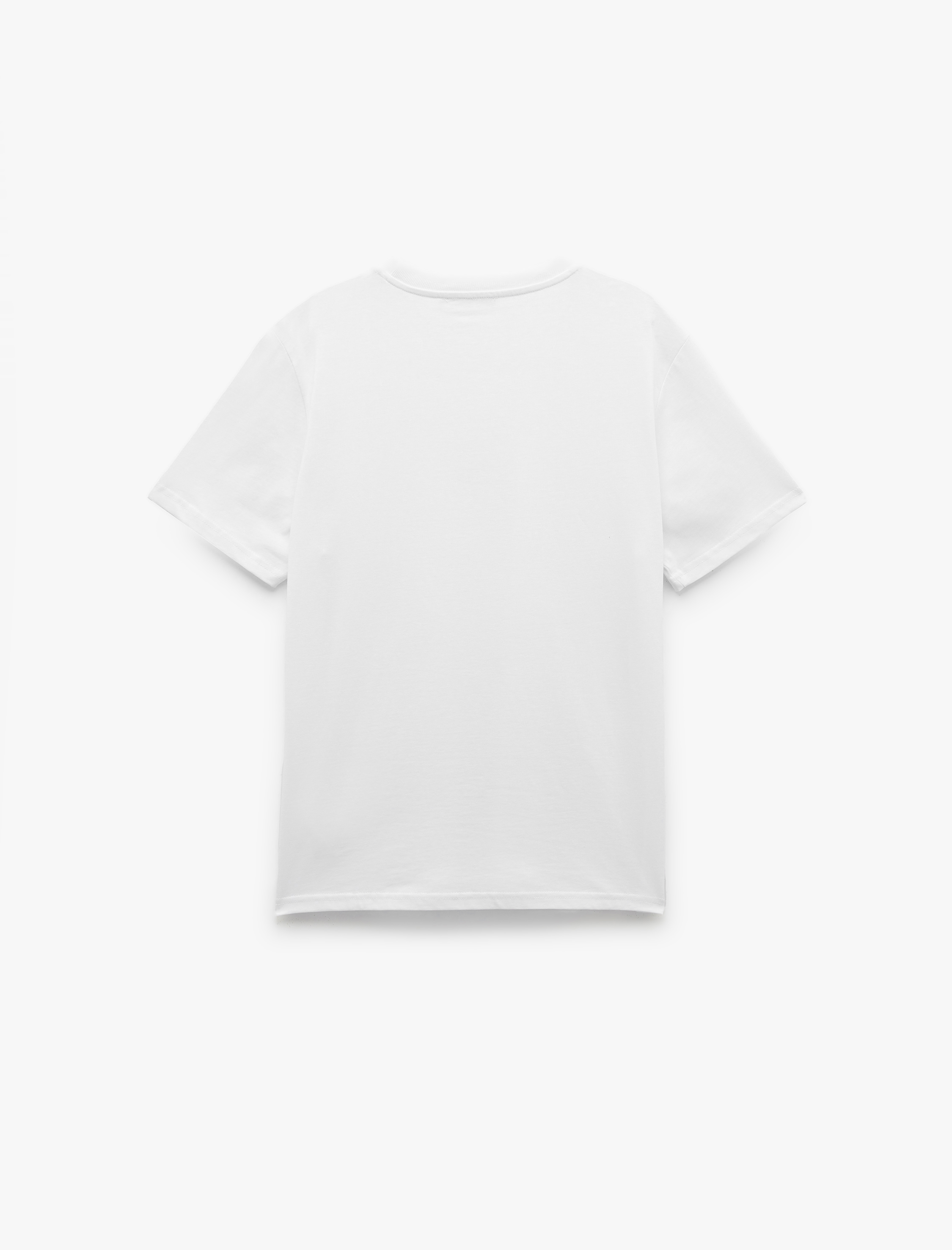   Kısa Kollu Bisiklet Yaka Regular Fit Pamuklu Baskılı Tişört