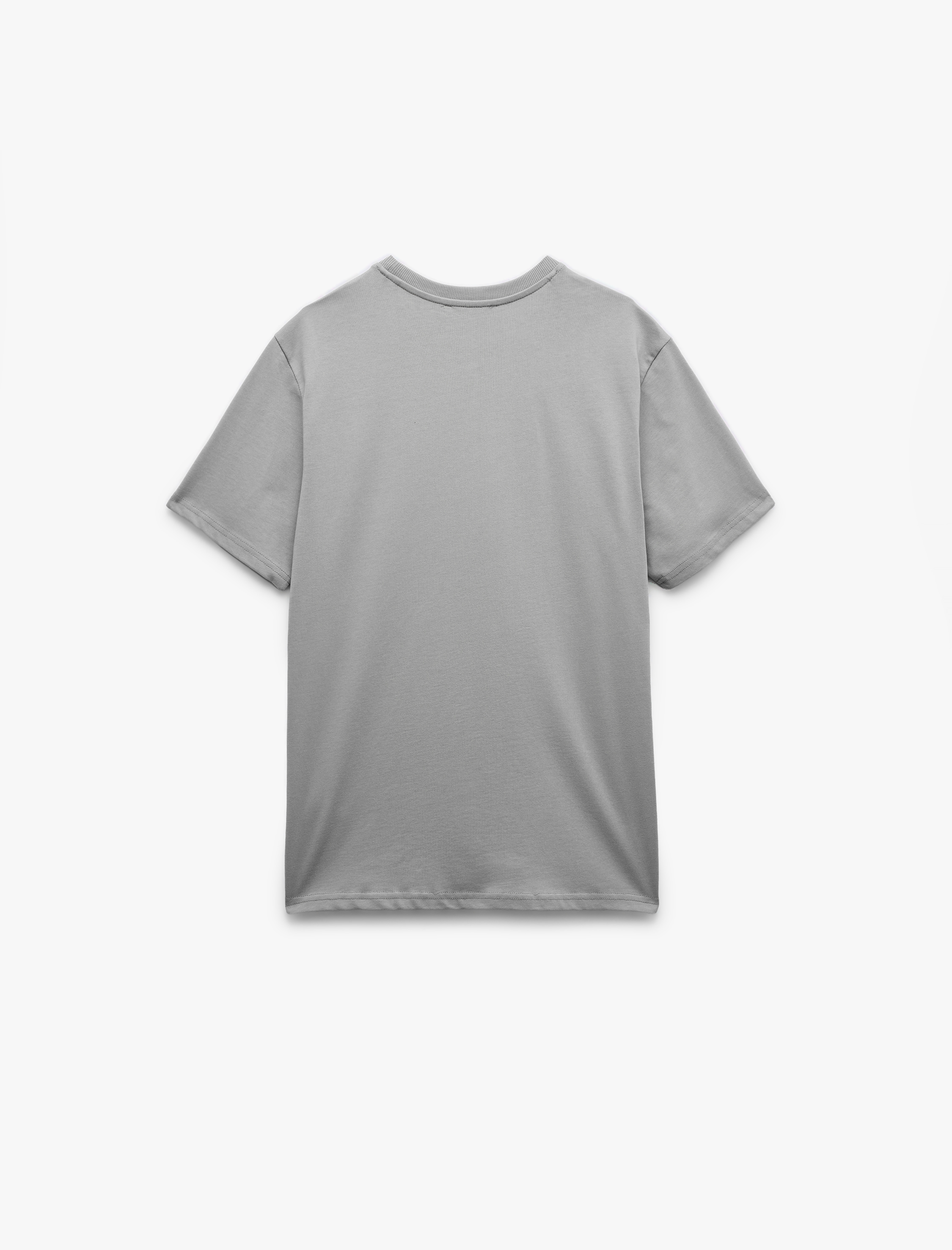   Bisiklet Yaka Regular Fit Tok Kumaş Pamuklu Kısa Kollu Tişört