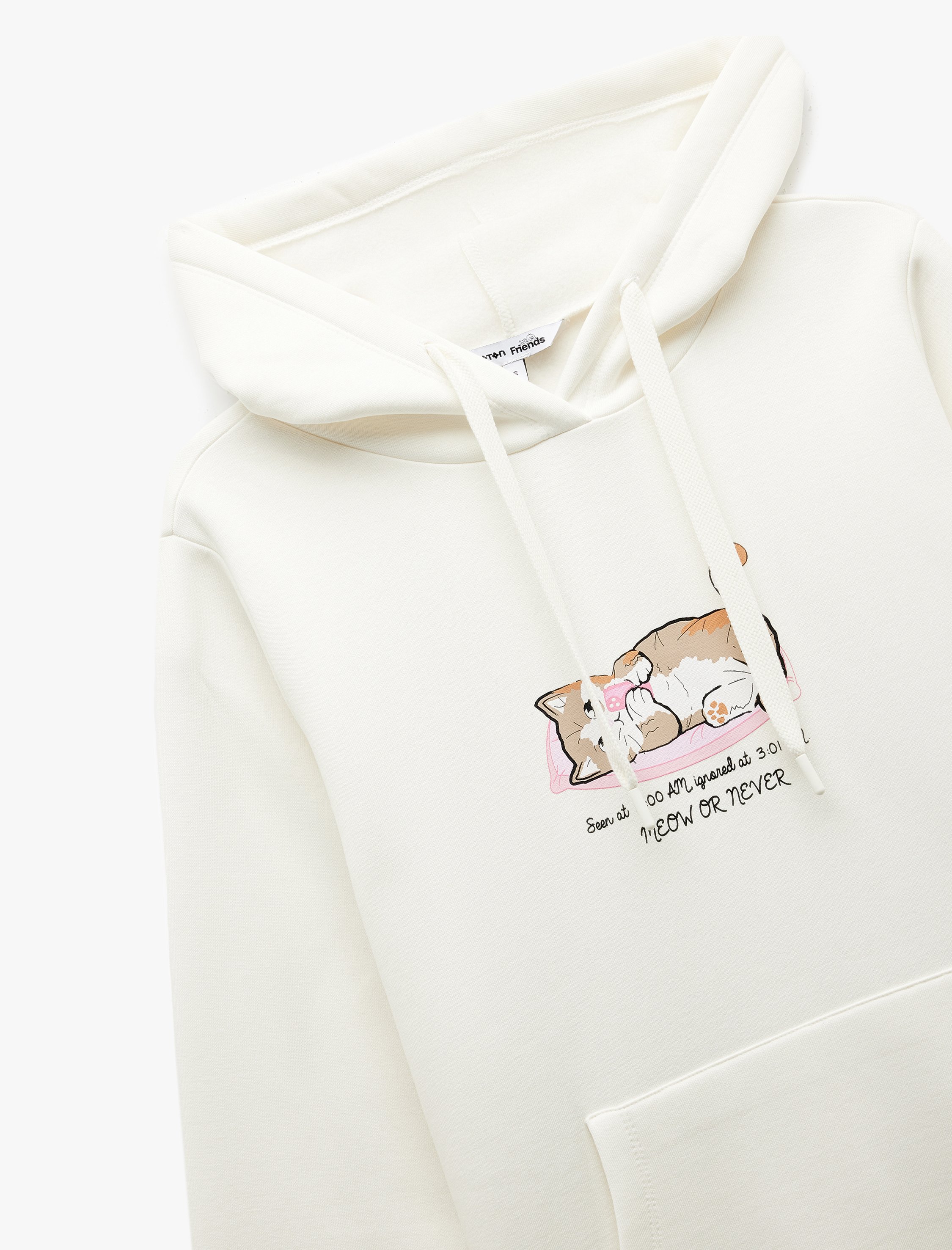   Üç İplik Şardonlu Kanguru Cep Detaylı Kedi Baskılı Kapüşonlu Sweatshirt