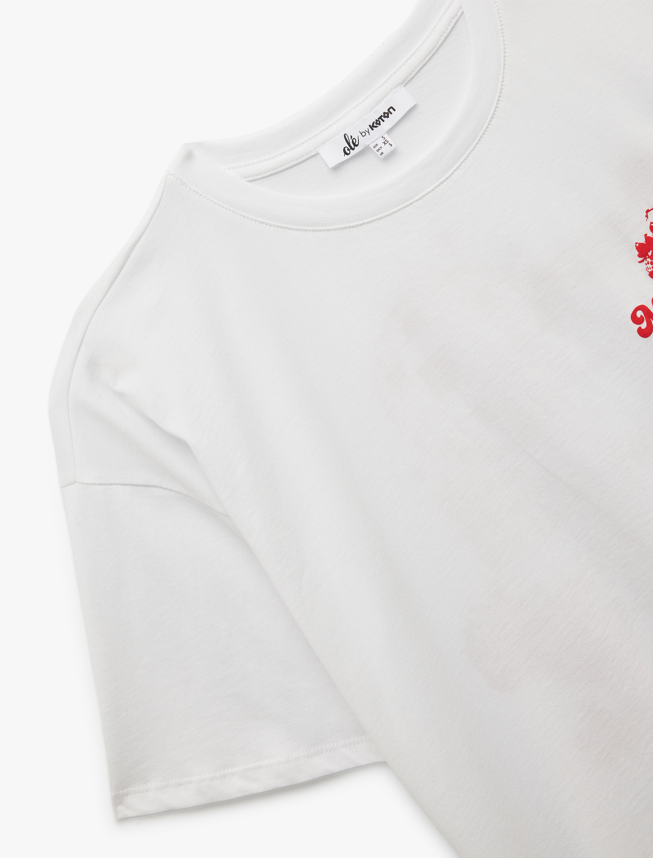   Kısa Kollu Bisiklet Yaka Pamuklu Arkası Çilek Baskılı Oversize Tişört