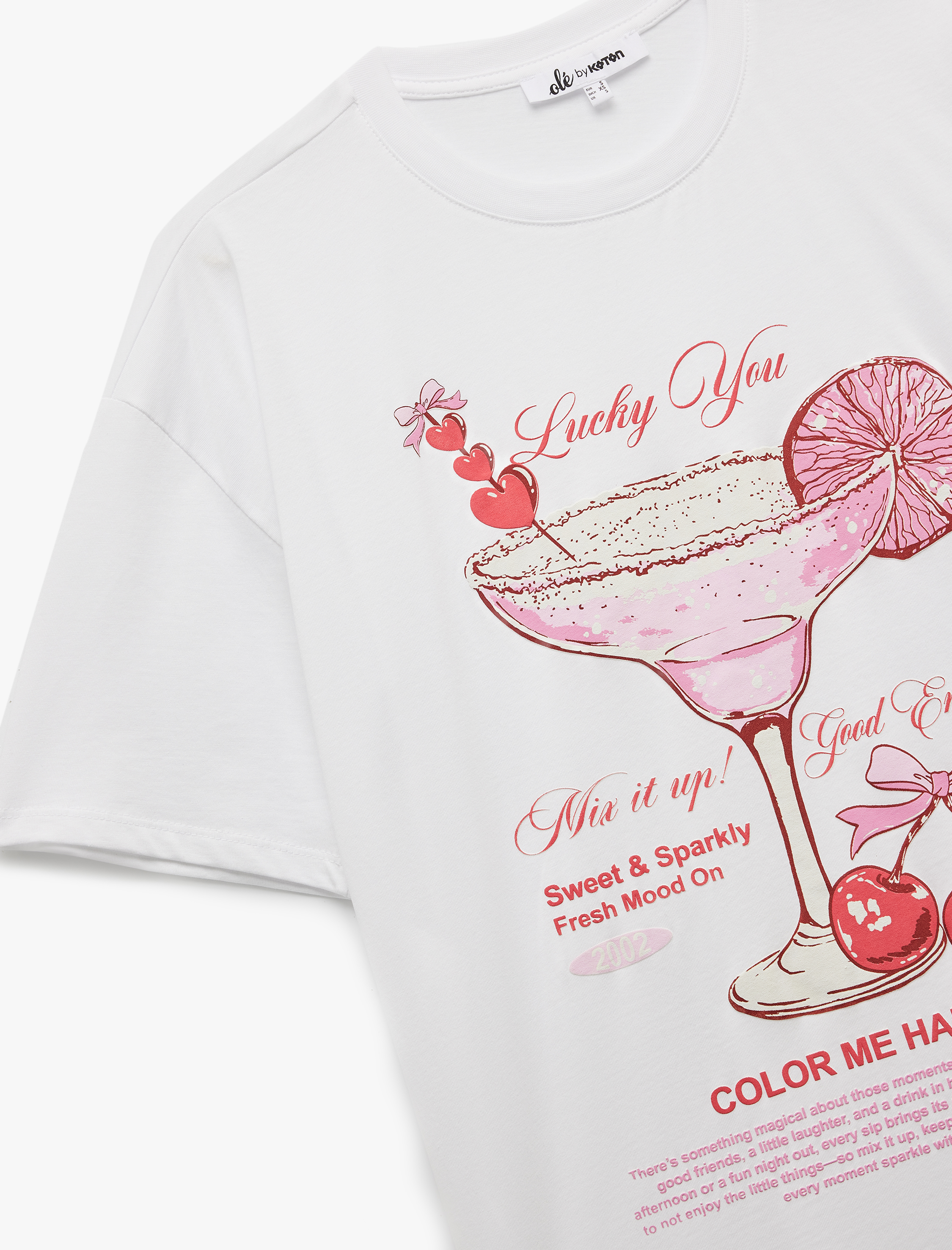   Kısa Kollu Rahat Kesim Bisiklet Yaka Baskılı Tişört