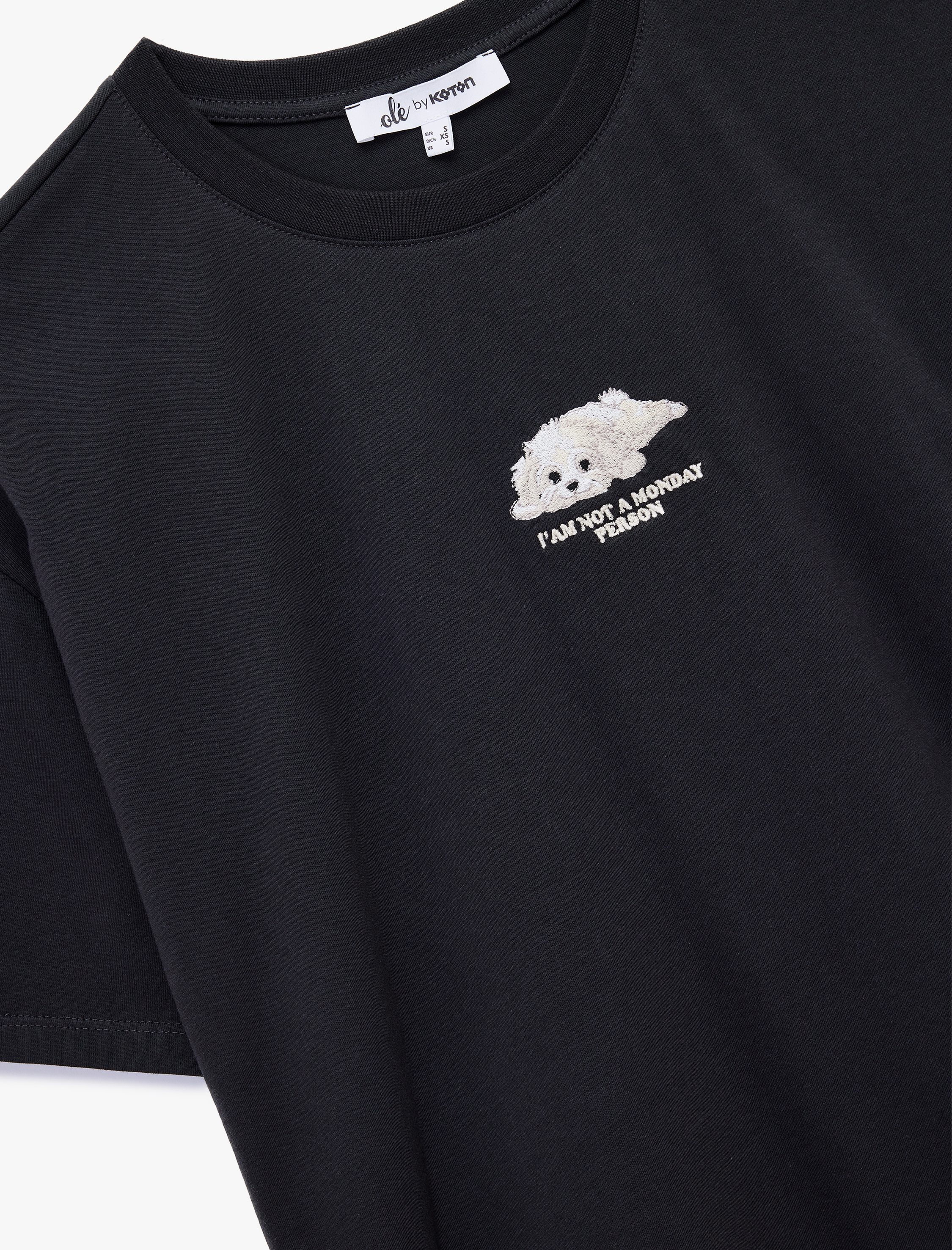 Nakış Detaylı Rahat Kalıp Bisiklet Yaka Kısa Kollu Tişört