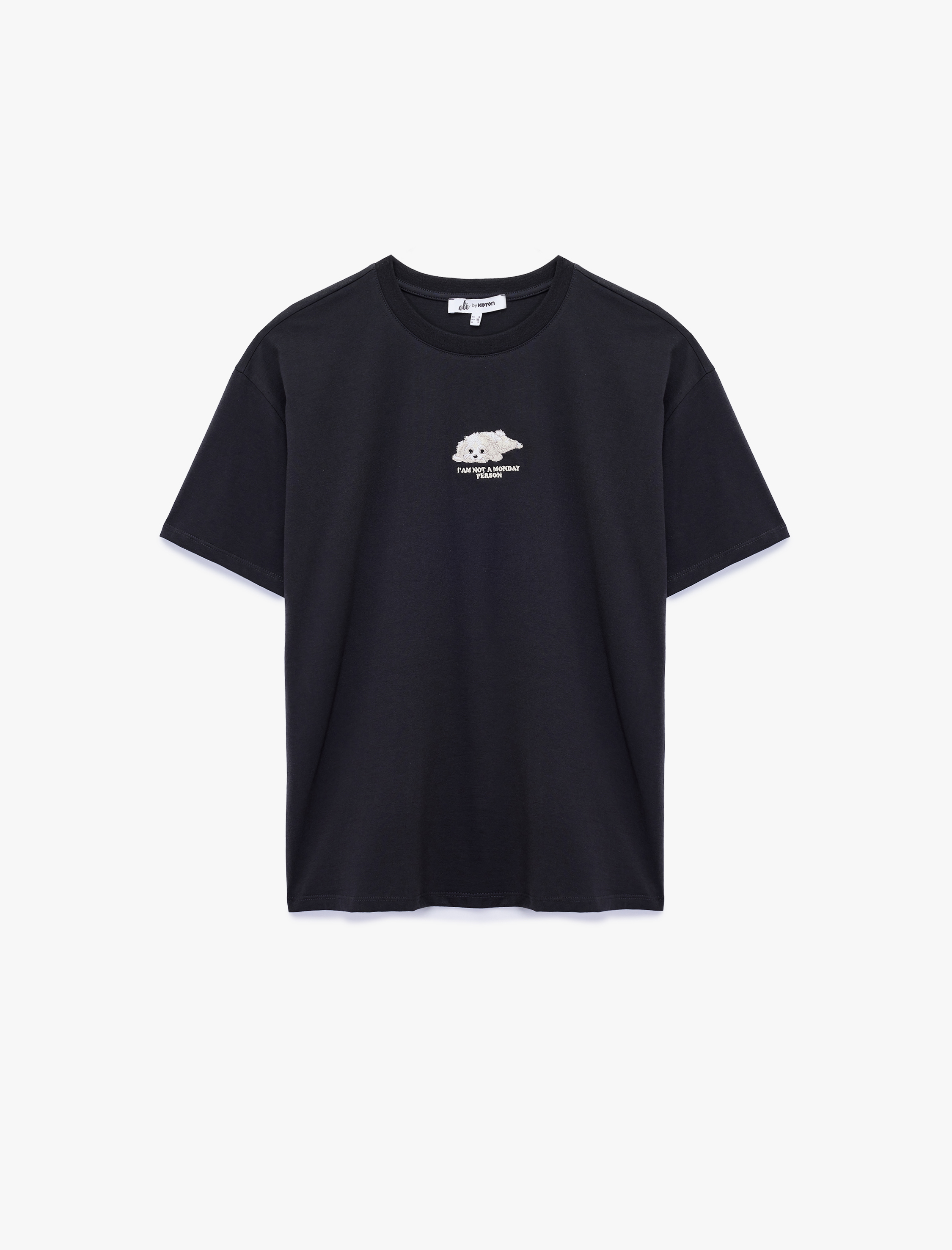 Nakış Detaylı Rahat Kalıp Bisiklet Yaka Kısa Kollu Tişört