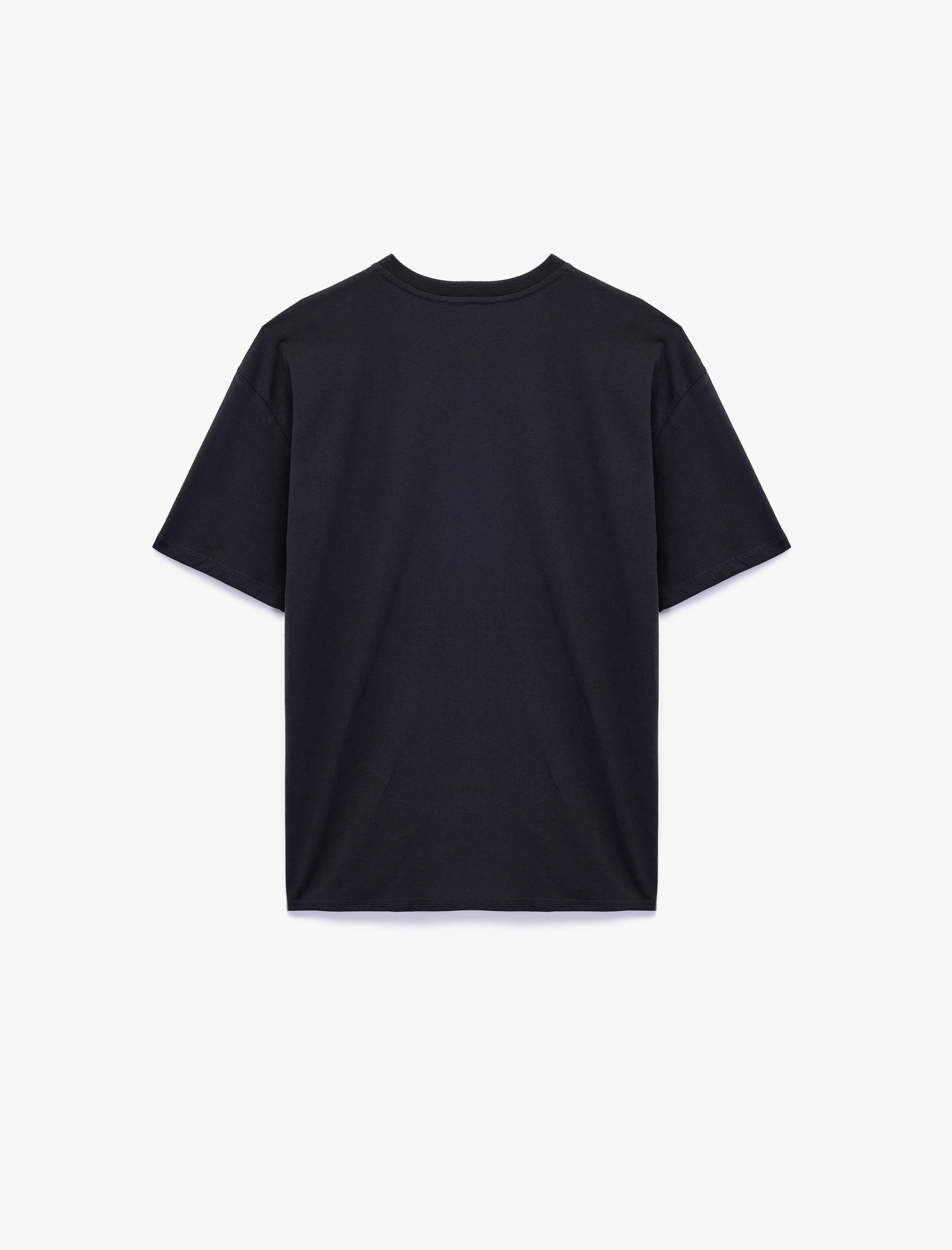 Nakış Detaylı Rahat Kalıp Bisiklet Yaka Kısa Kollu Tişört