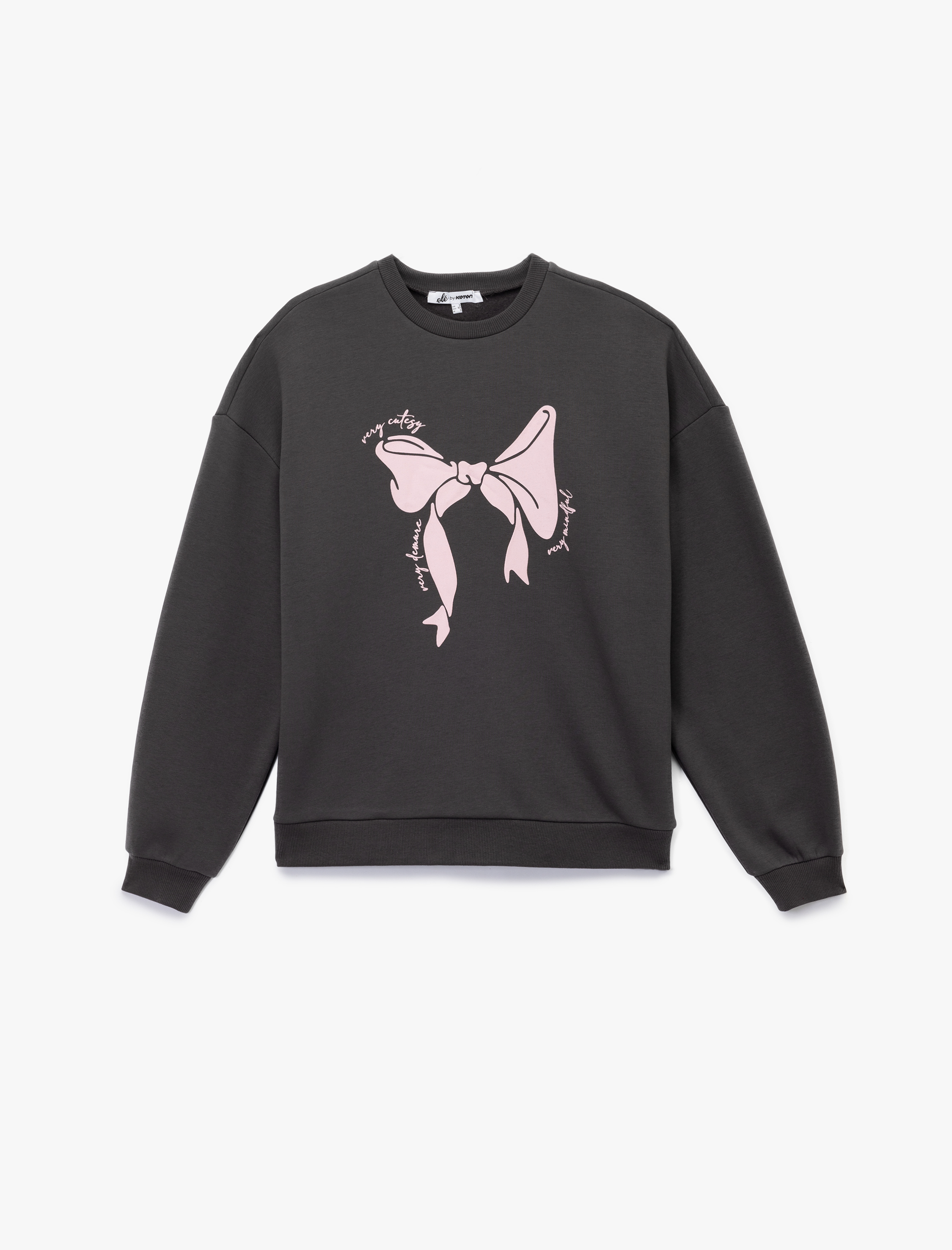   Uzun Kollu Bisiklet Yaka Şardonlu Fiyonk Baskılı Sweatshirt